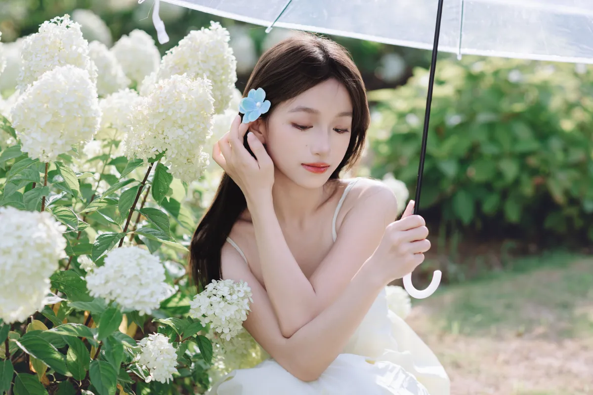 夏日绣球5