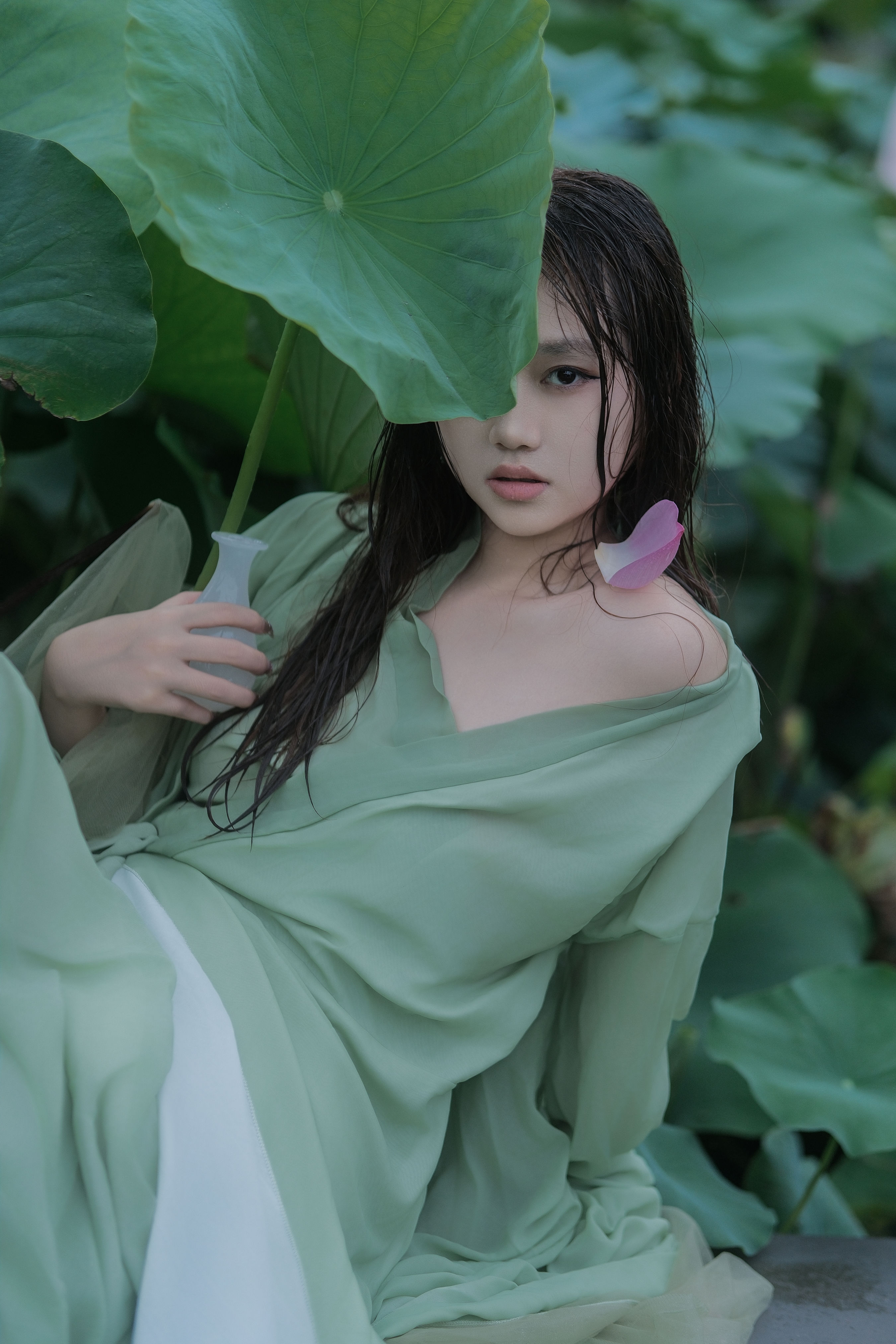 雨荷1