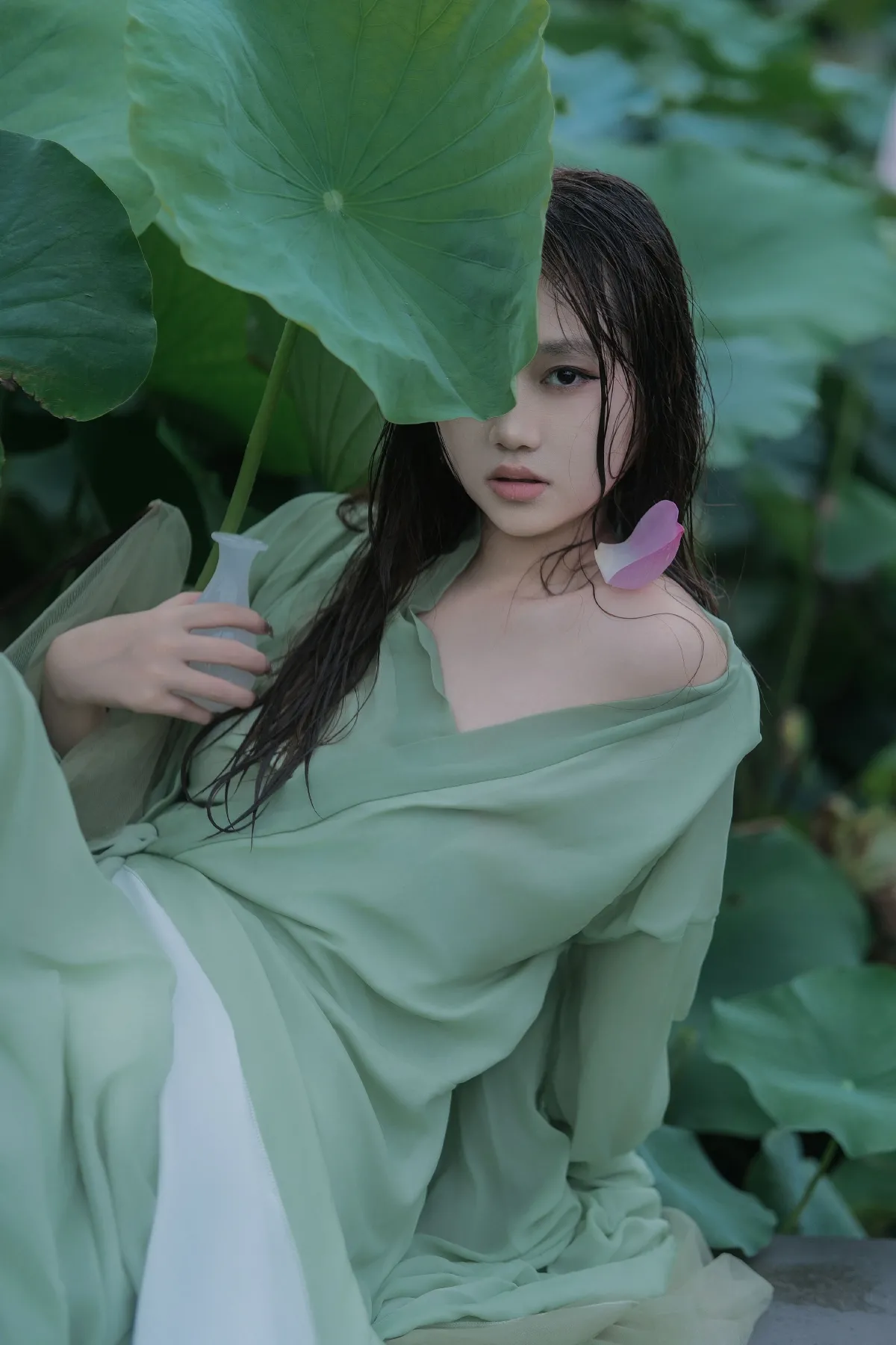 雨荷1