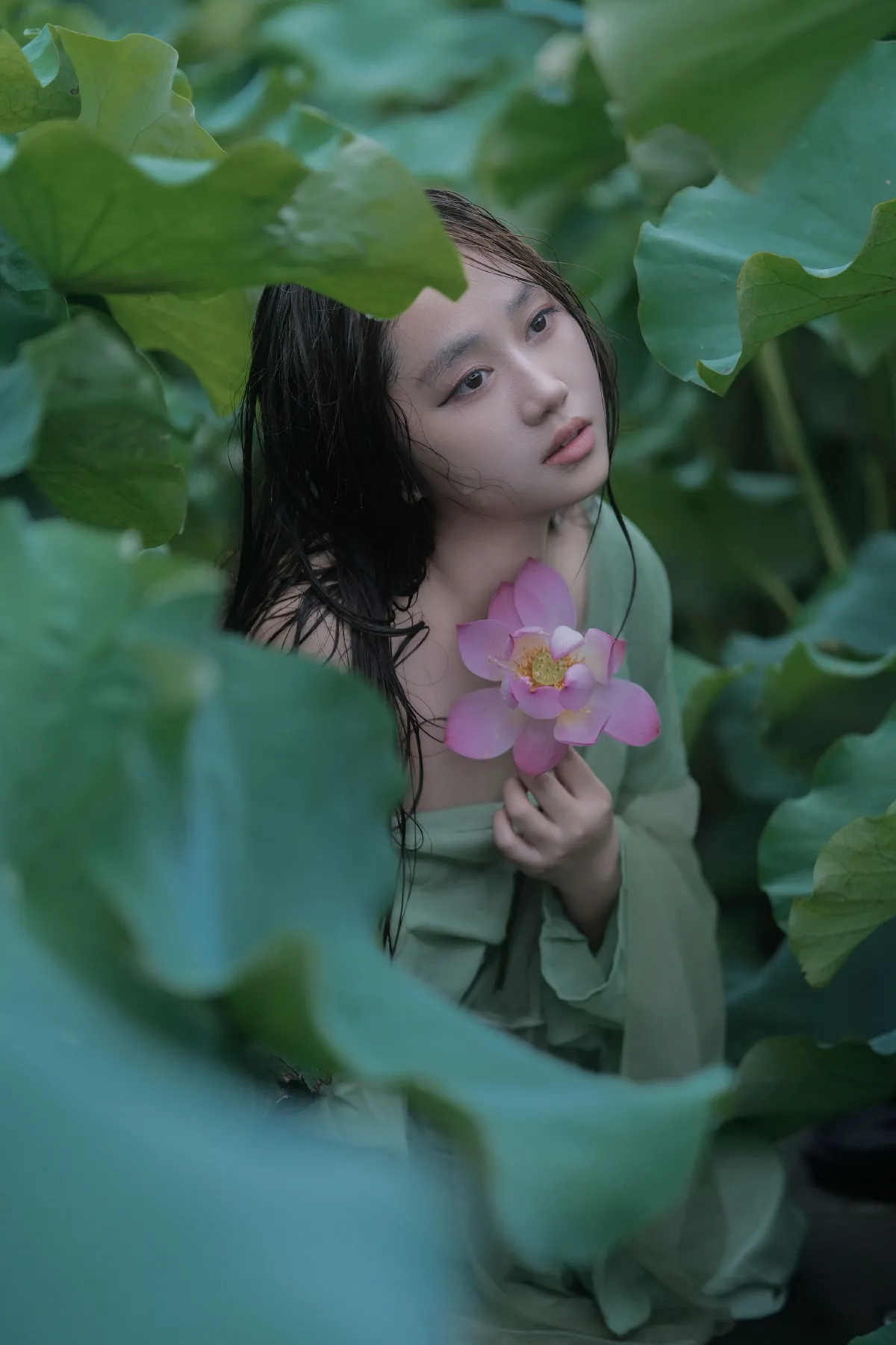 雨荷2