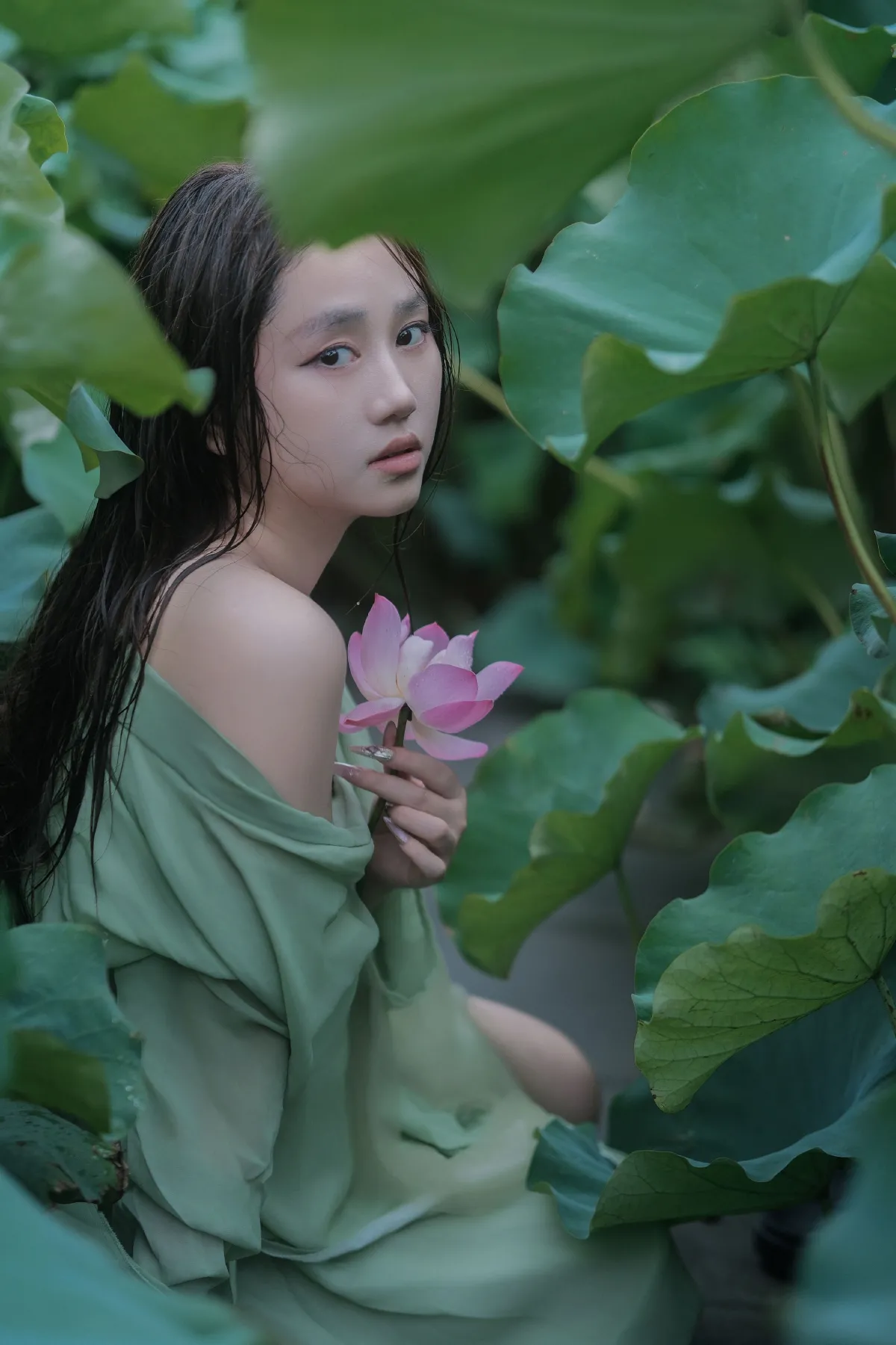 雨荷