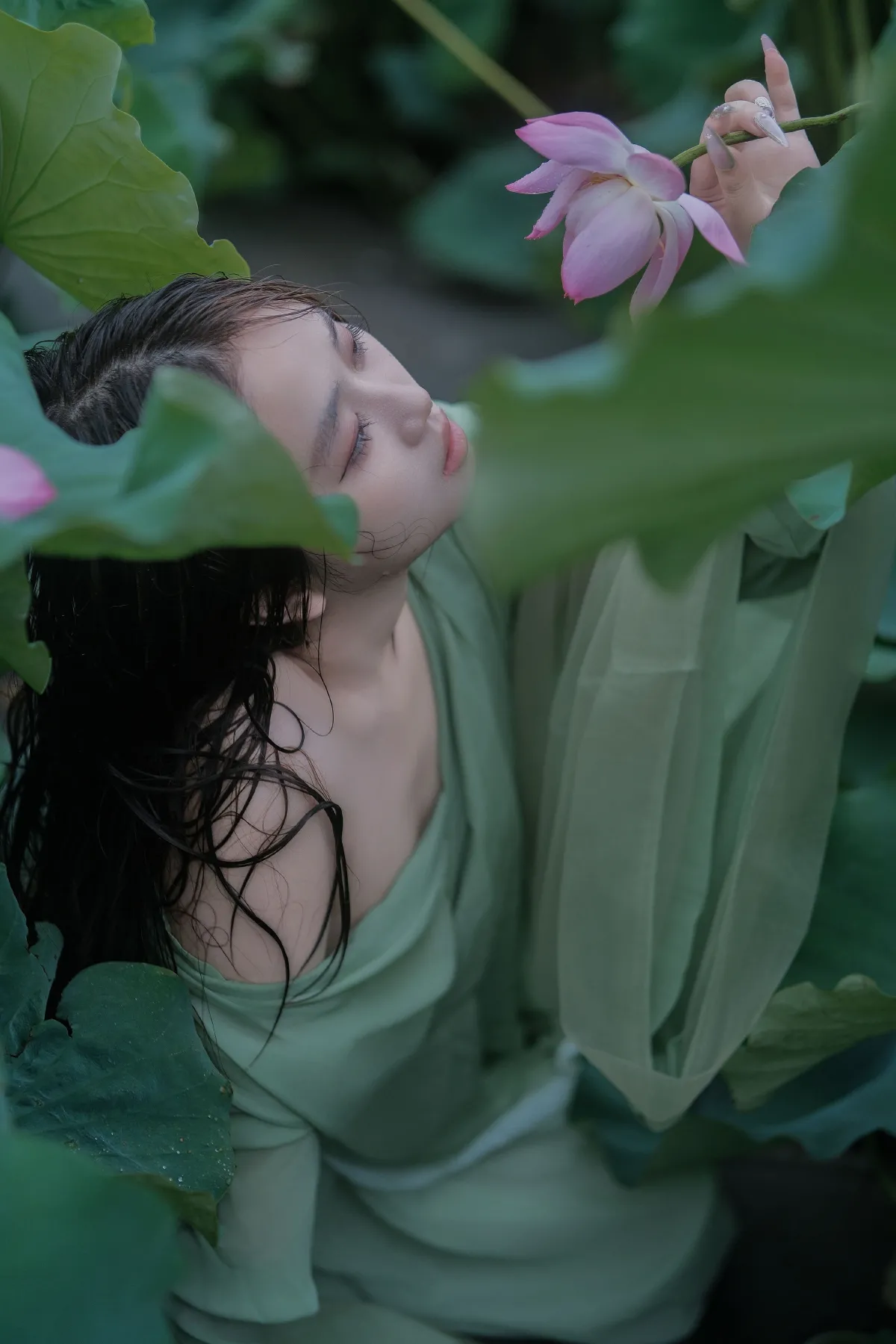 雨荷3
