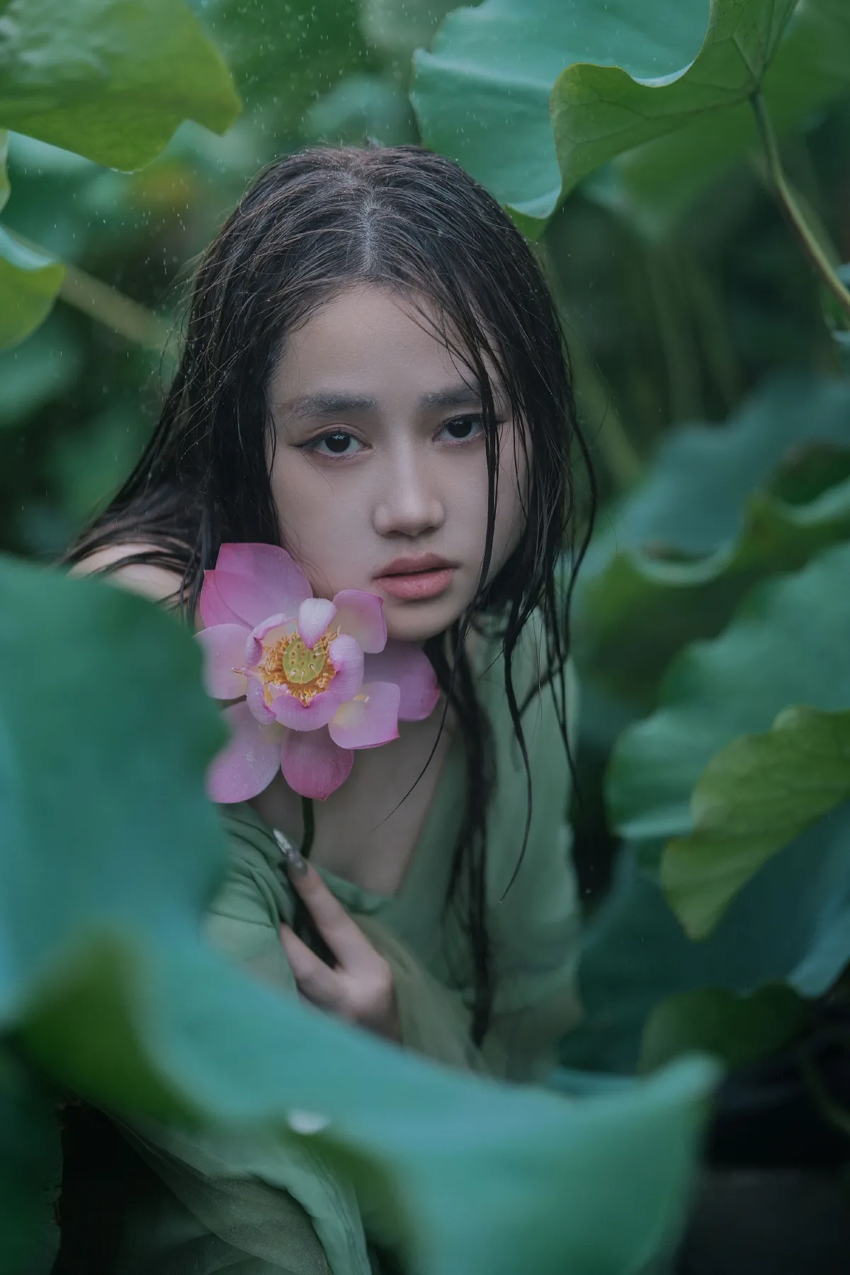 雨荷