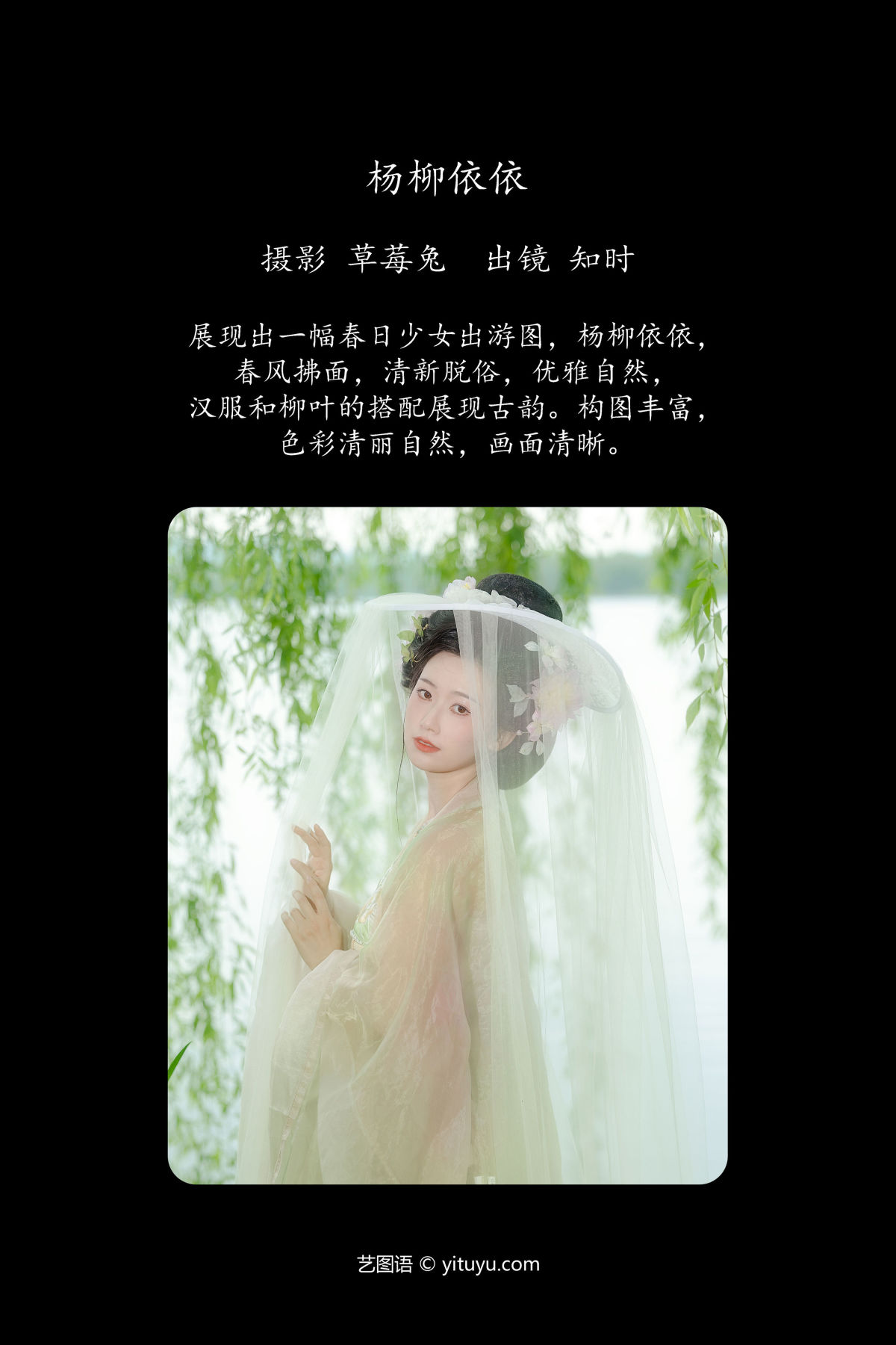 草莓兔_知时《杨柳依依》美图作品图片2