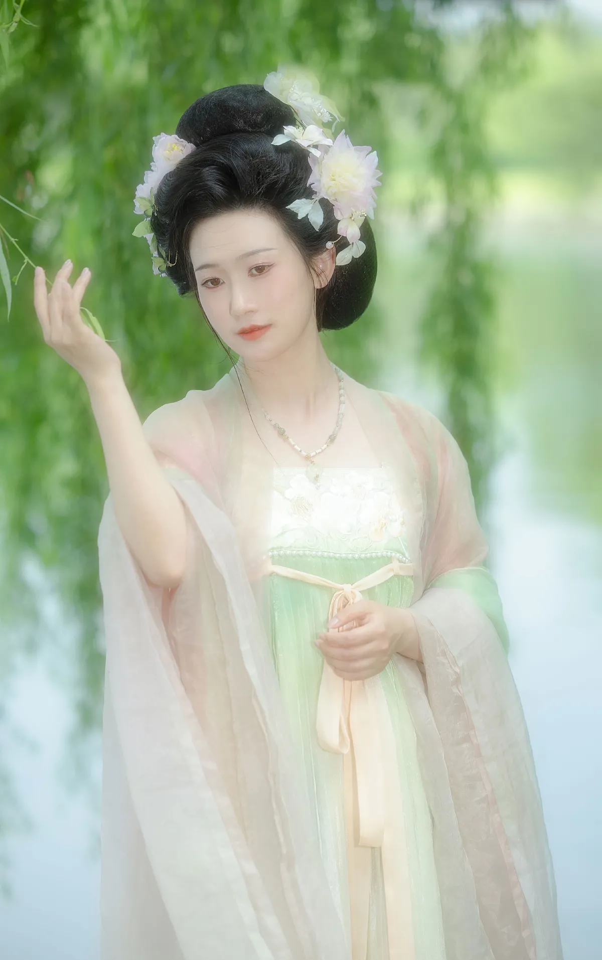 杨柳依依