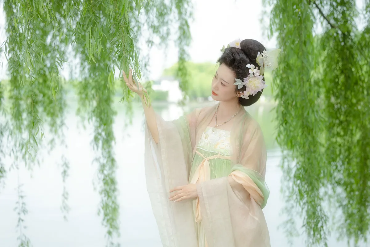 杨柳依依