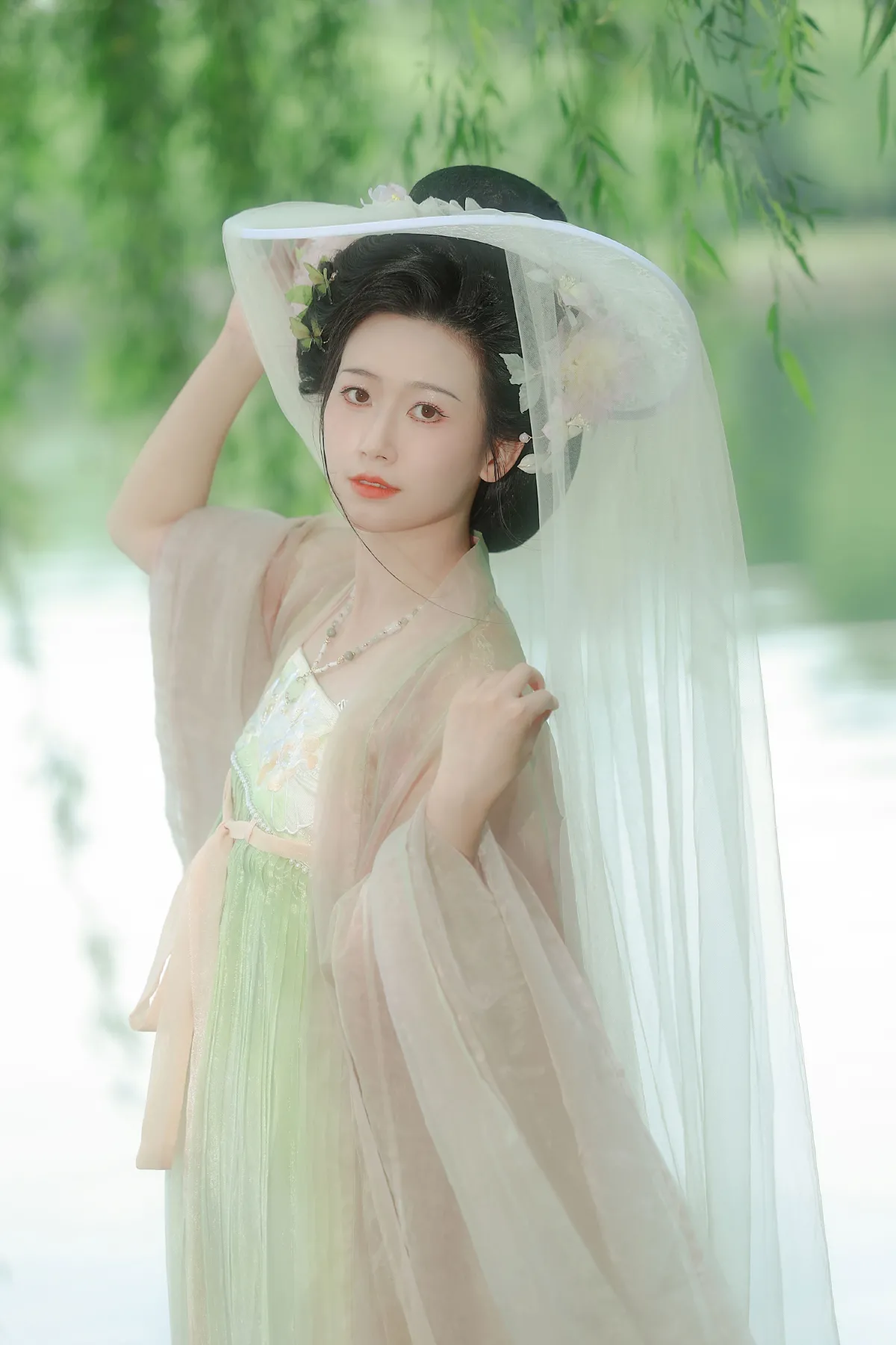 杨柳依依