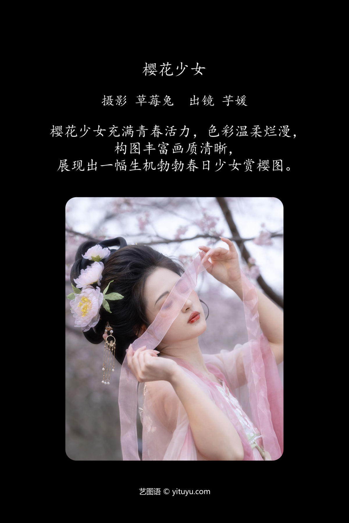 草莓兔_芋媛一碗《樱花少女》美图作品图片2