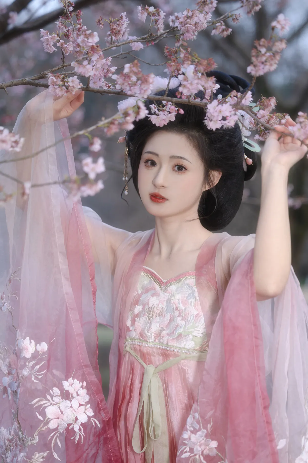 樱花少女