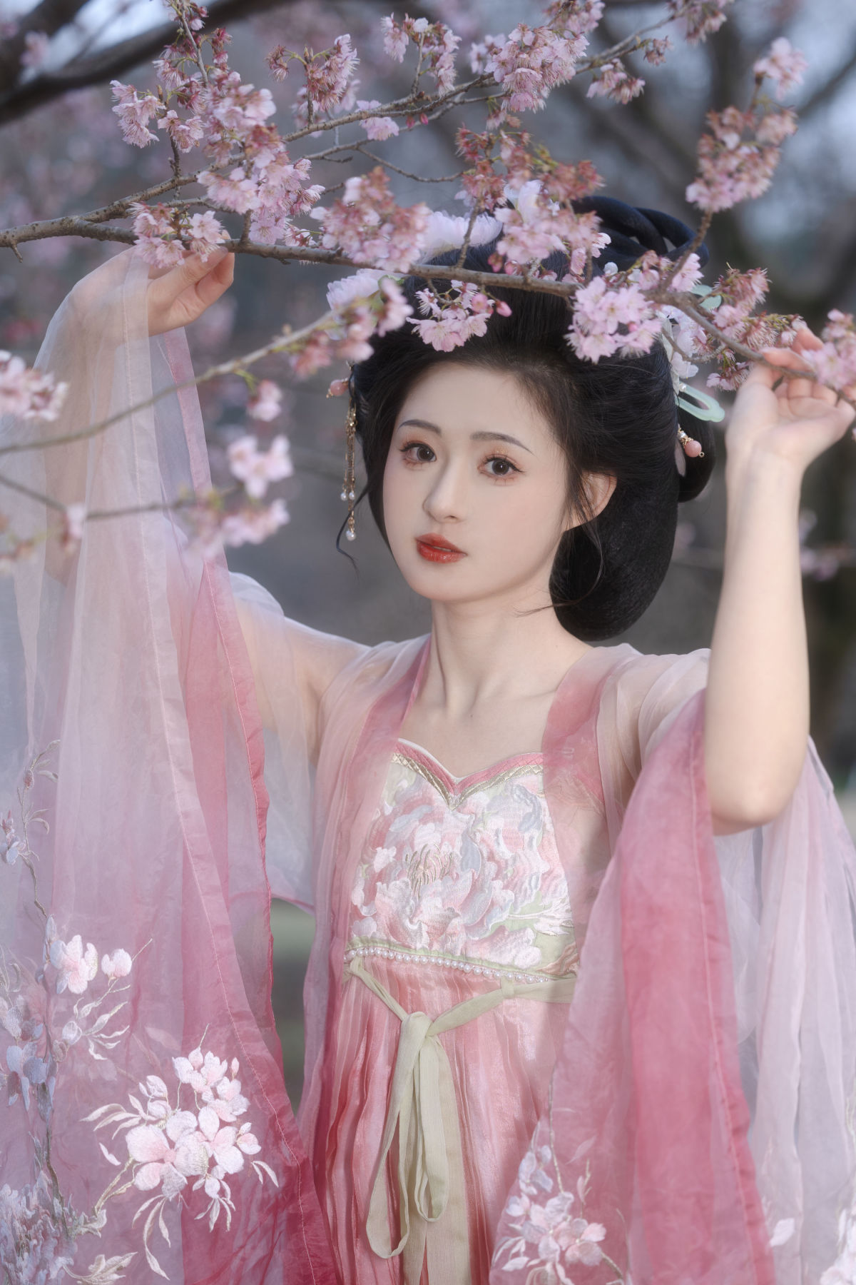 草莓兔_芋媛一碗《樱花少女》美图作品图片3