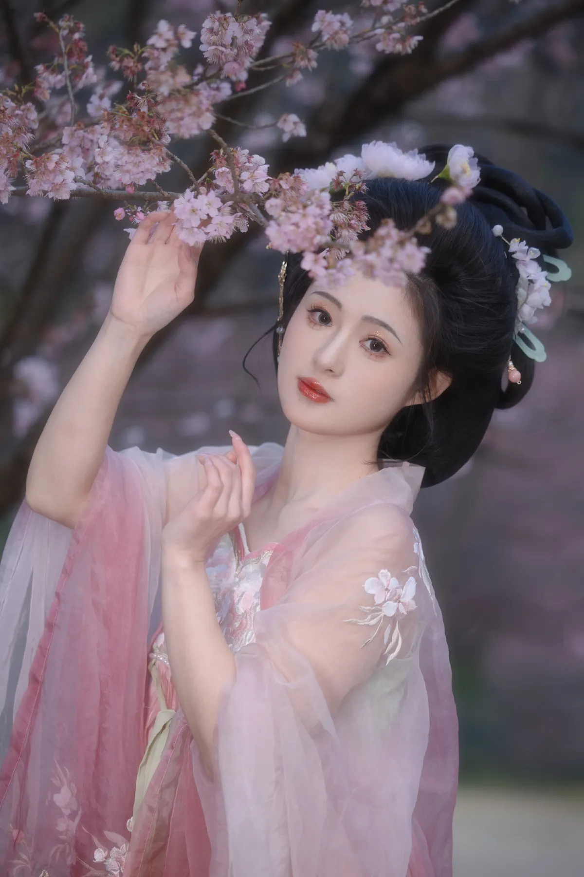 樱花少女