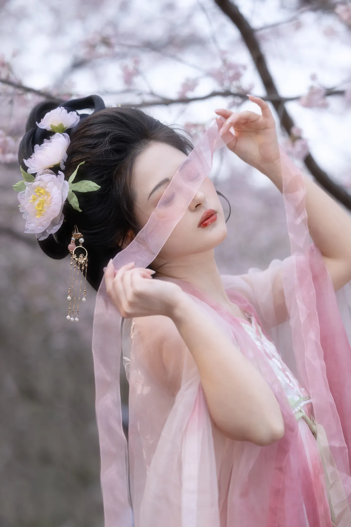 樱花少女