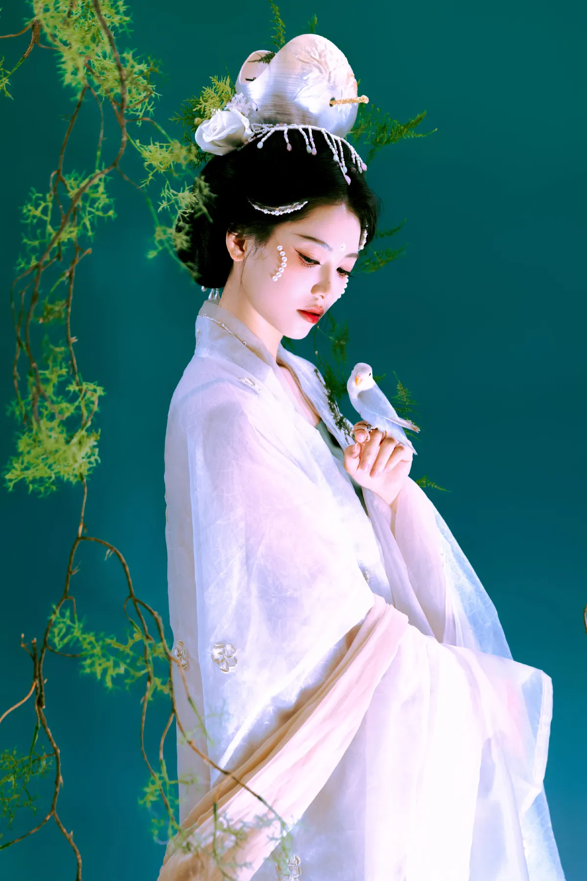 青黛1