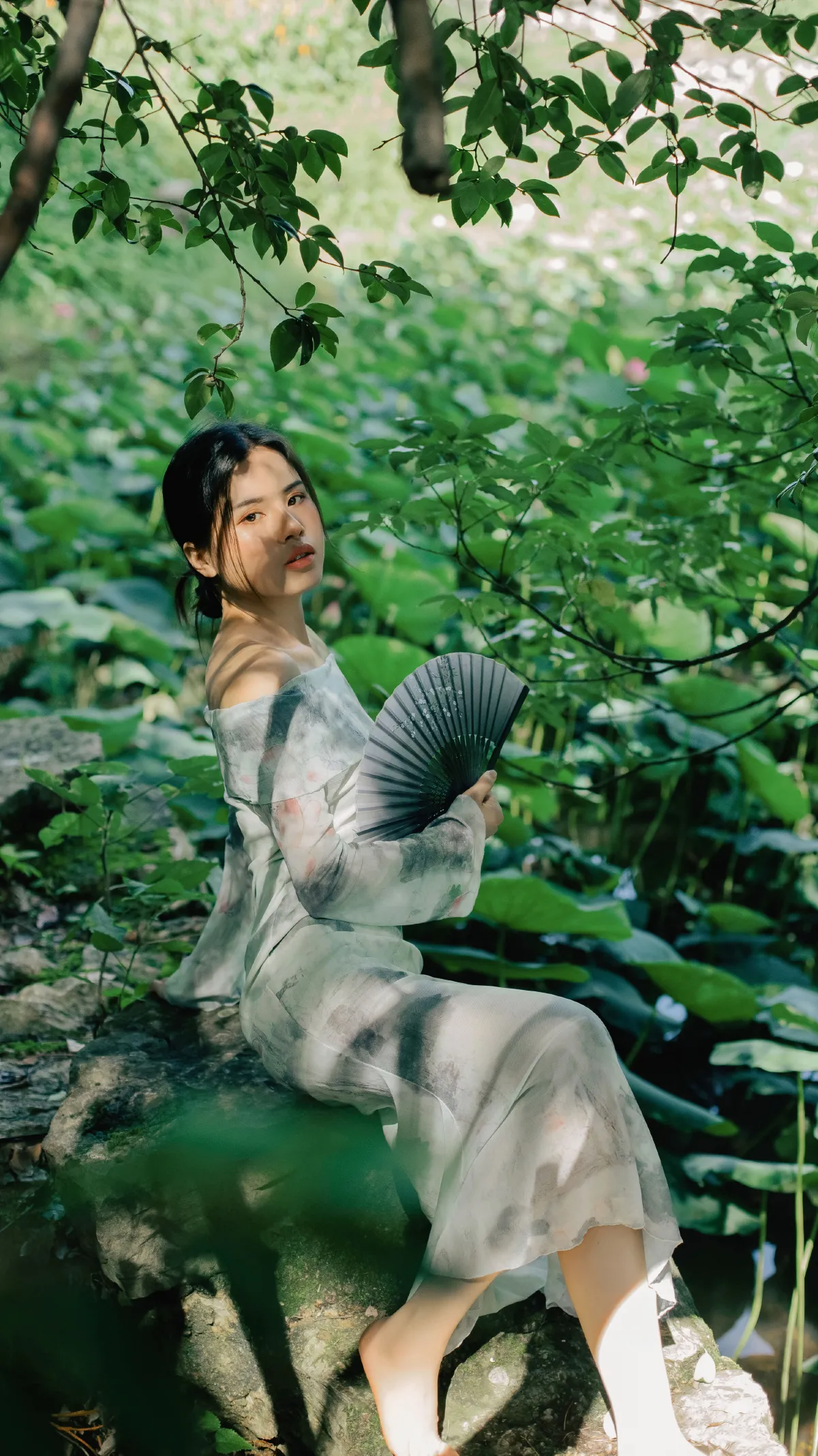 夏荷1