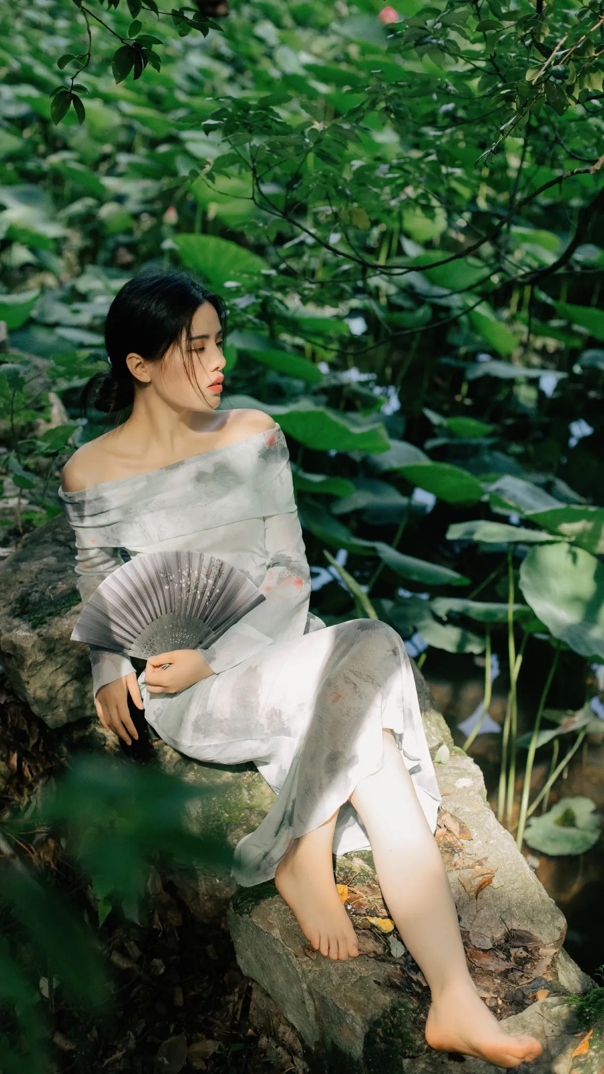 夏荷3