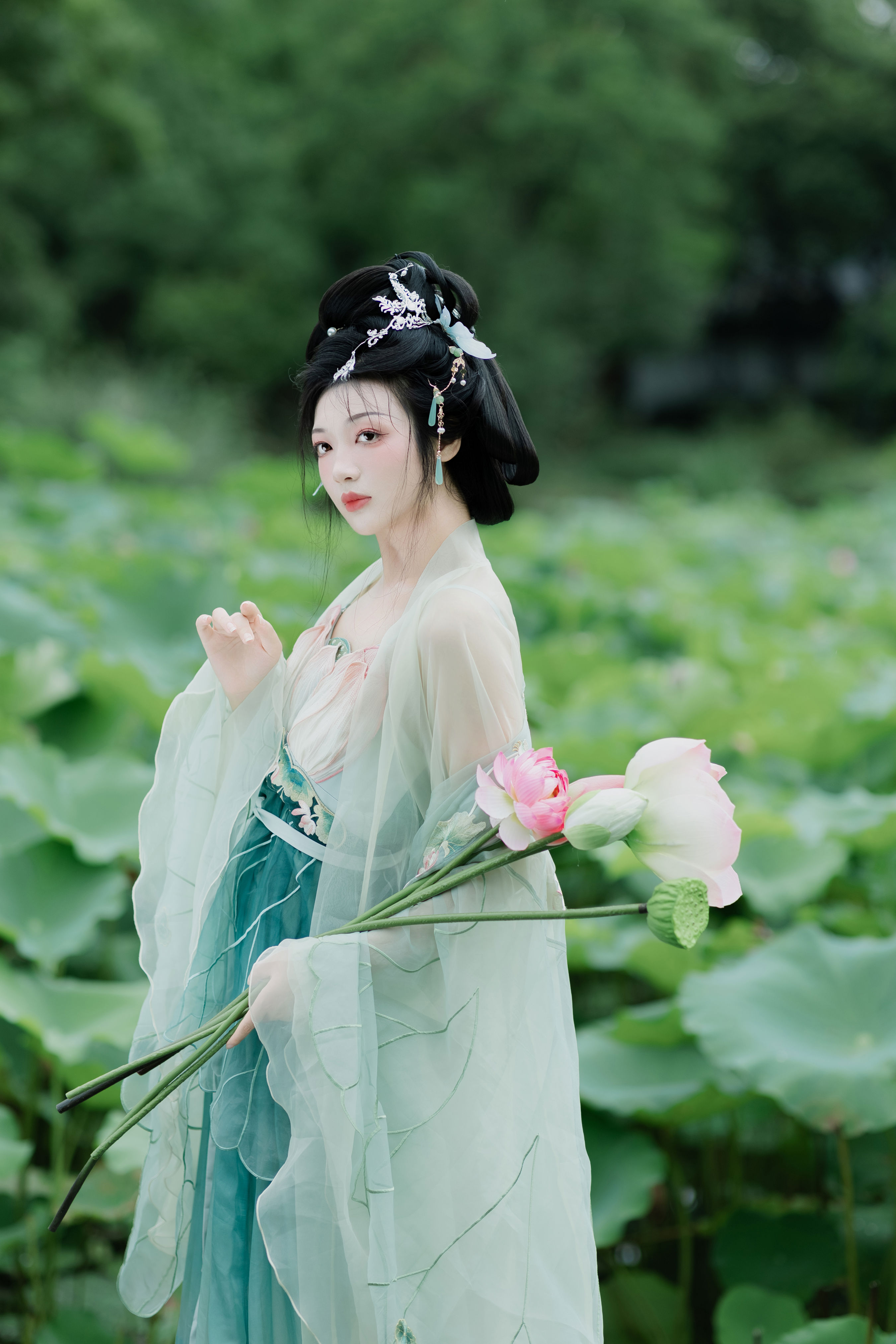 暑荷1