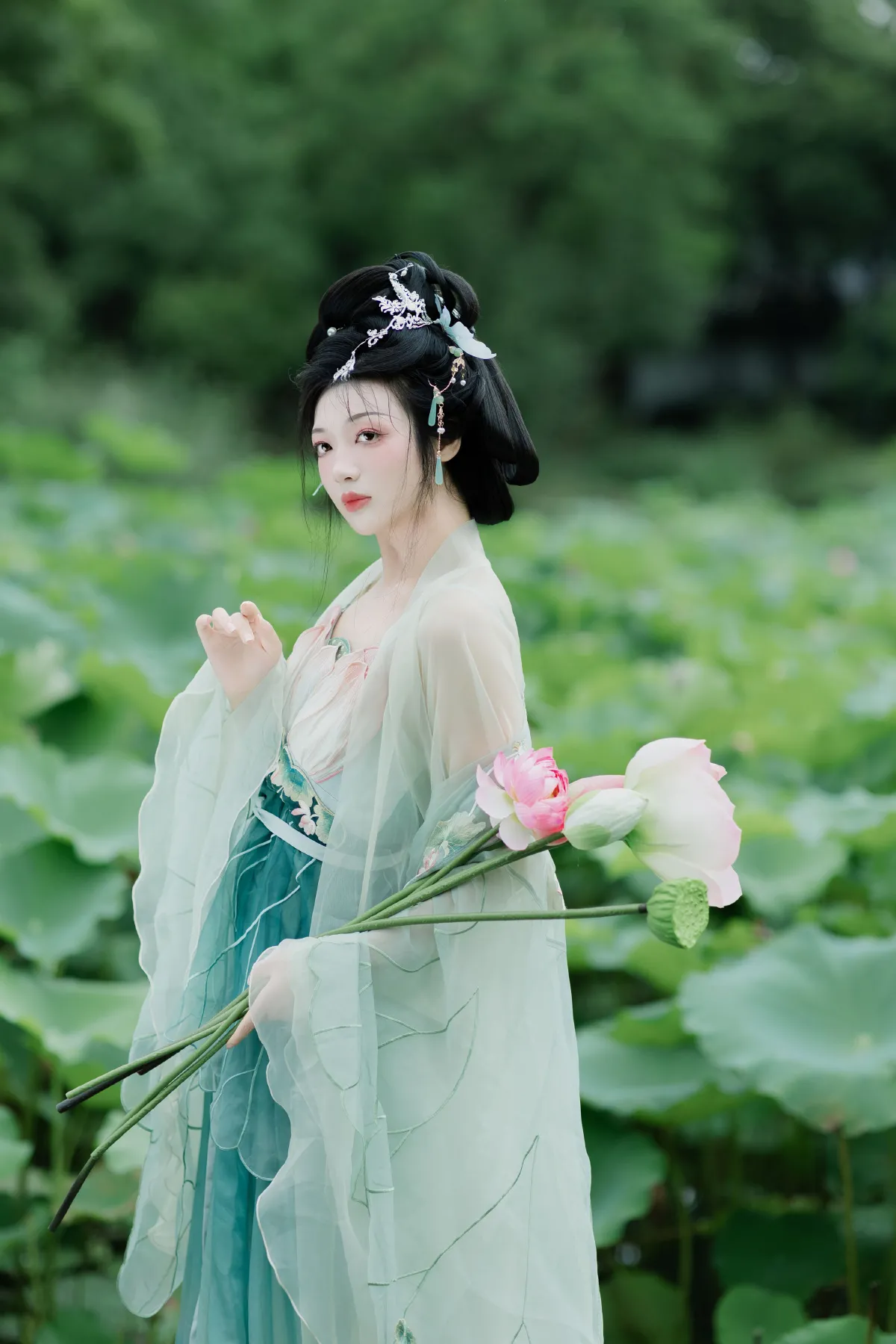 暑荷1