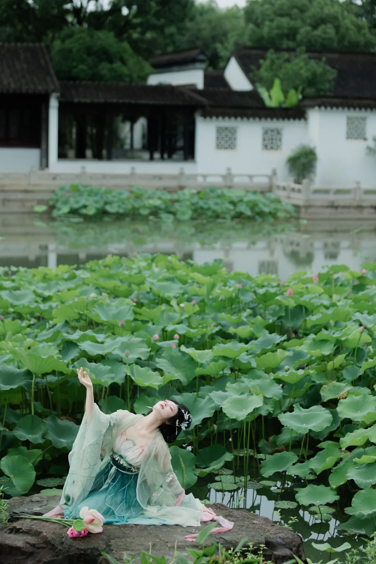 暑荷