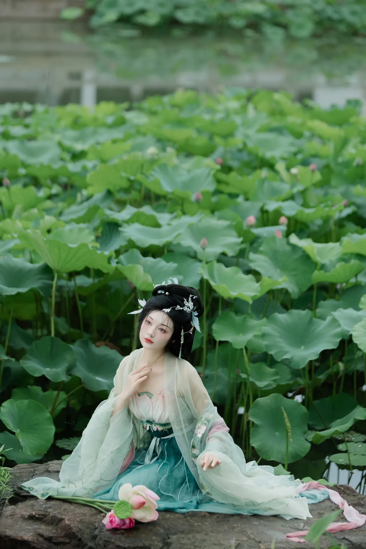 暑荷2