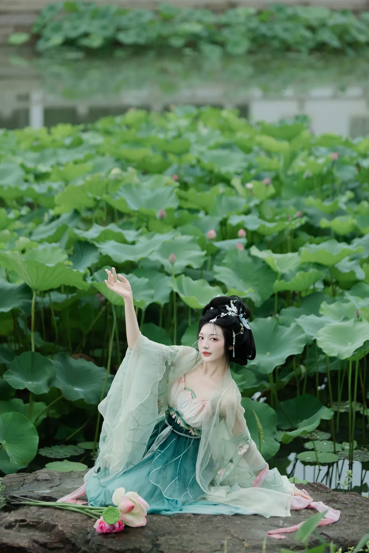 暑荷