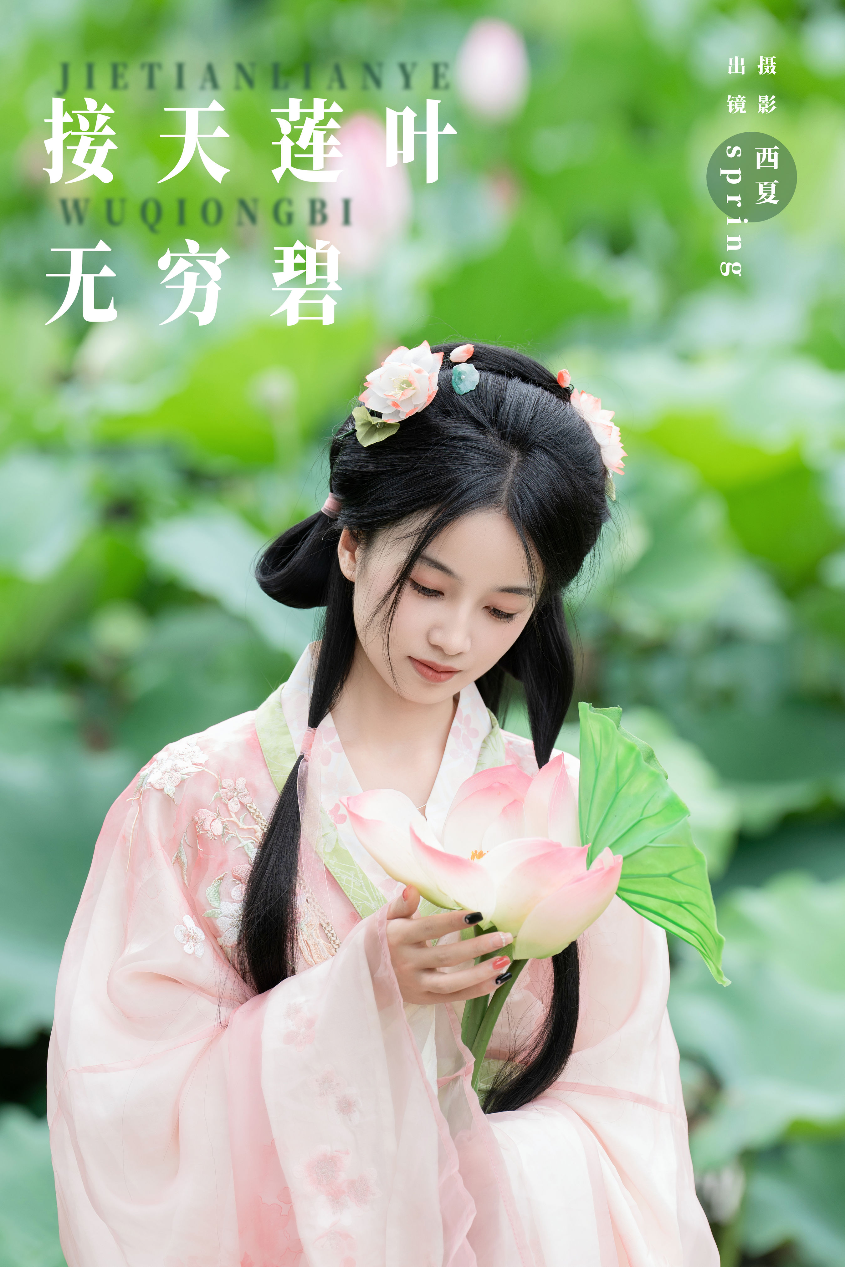 西夏_spring《接天莲叶无穷碧》美图作品图片1