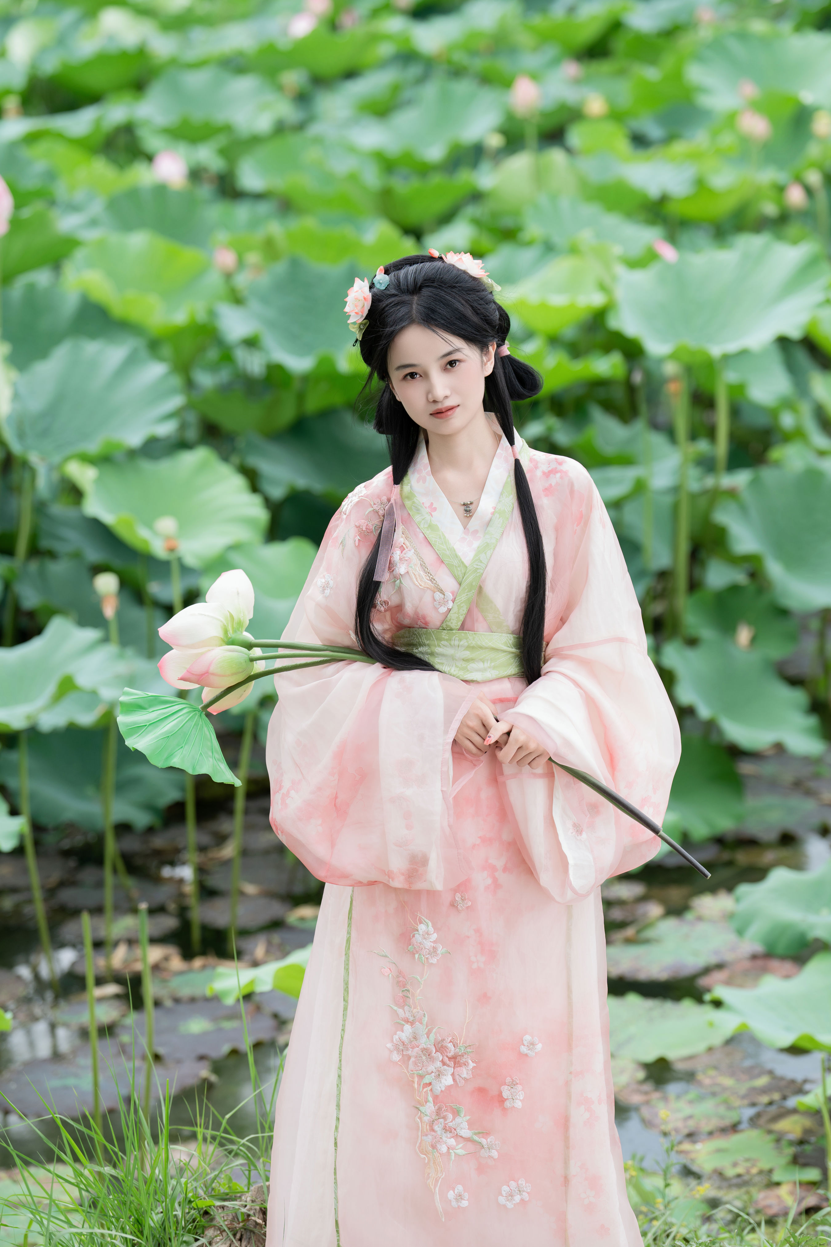 接天莲叶无穷碧
