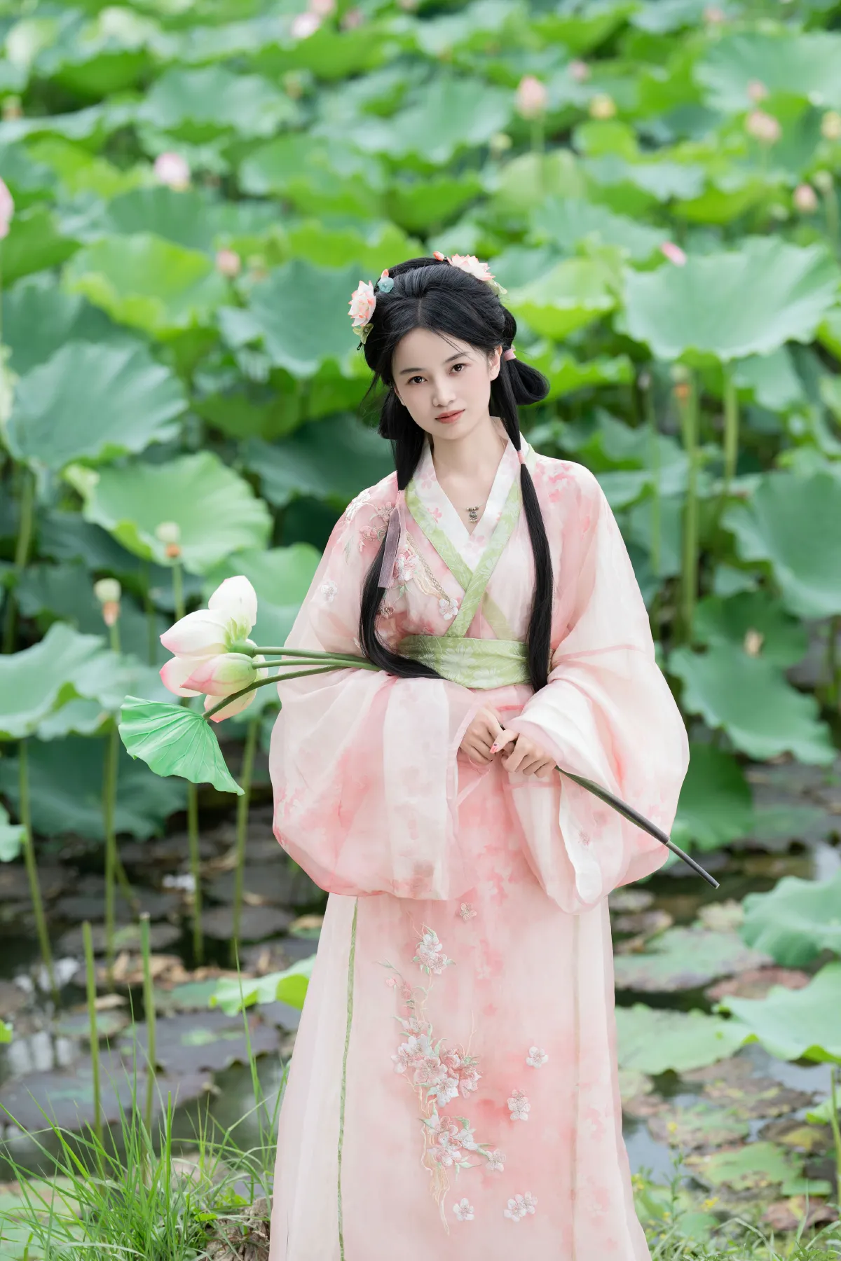 接天莲叶无穷碧