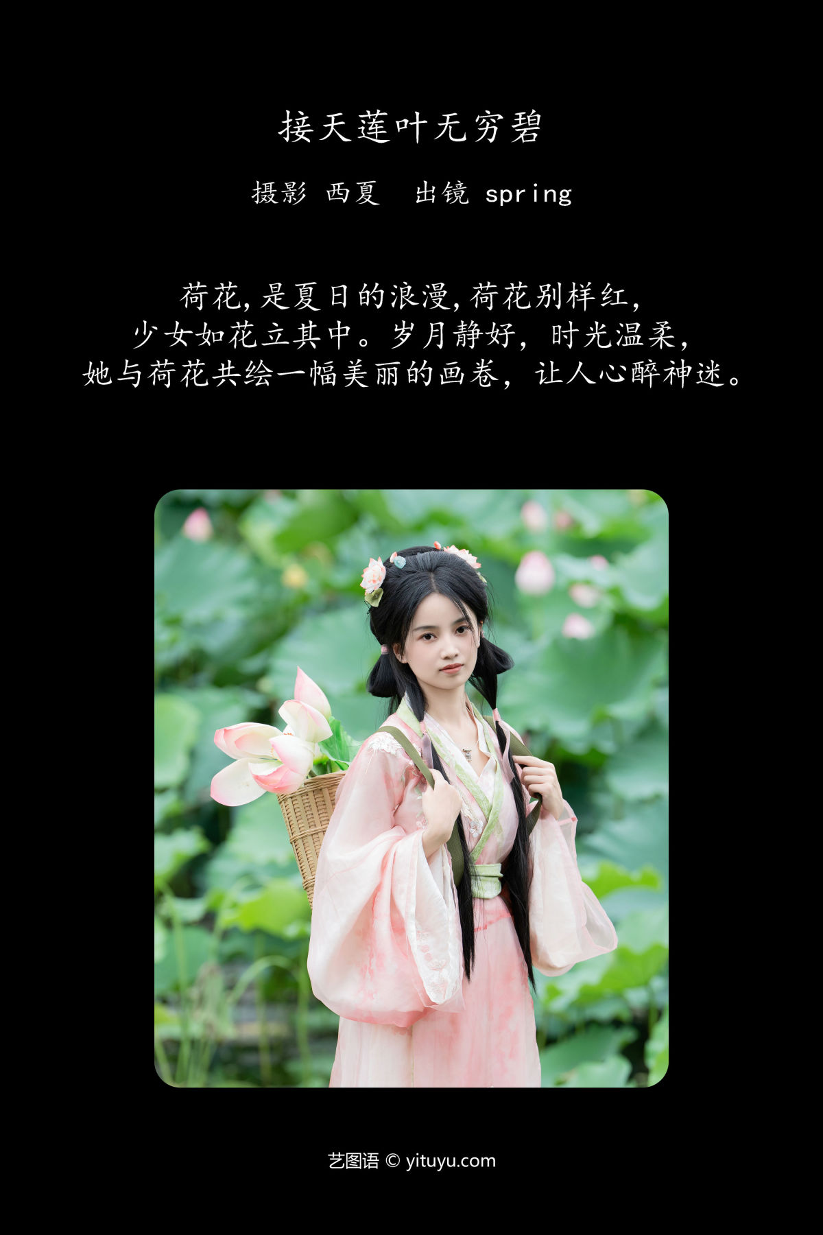 西夏_spring《接天莲叶无穷碧》美图作品图片2