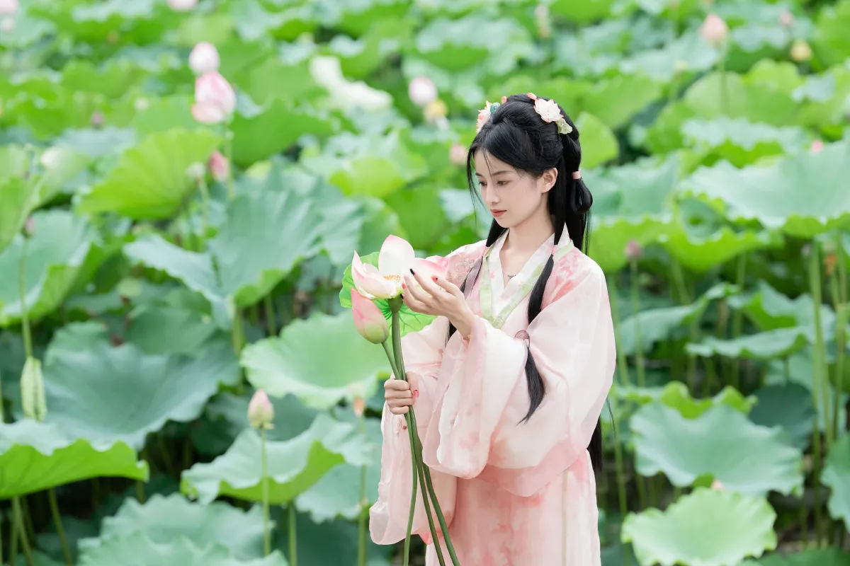 西夏_spring《接天莲叶无穷碧》美图作品图片4