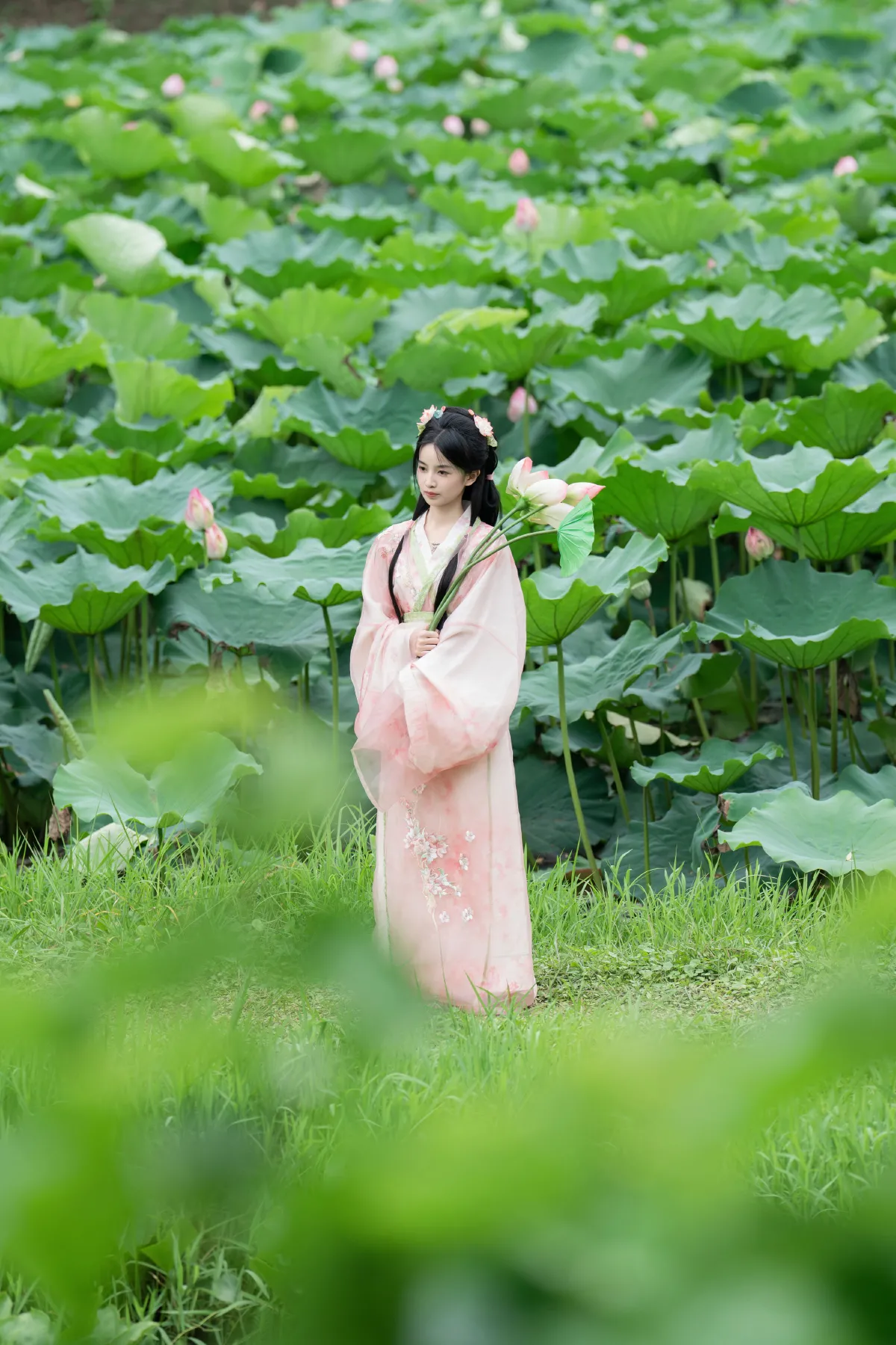 接天莲叶无穷碧