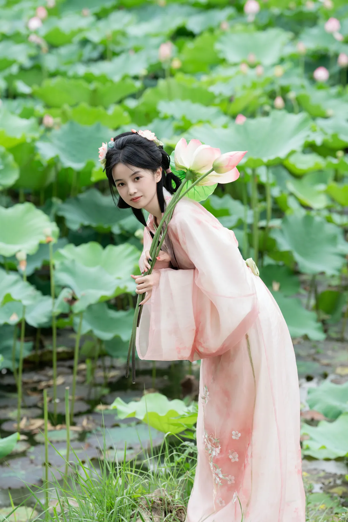 接天莲叶无穷碧3