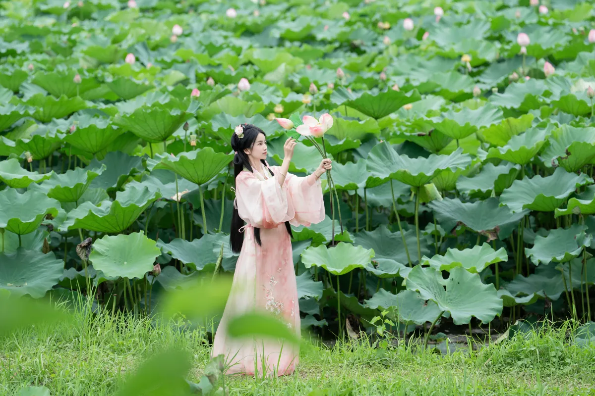 接天莲叶无穷碧