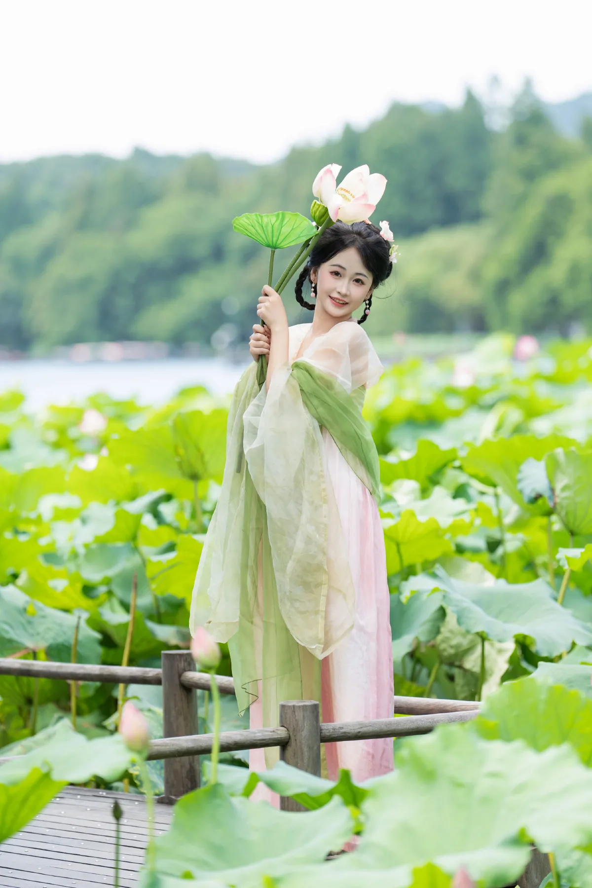 荷花少女