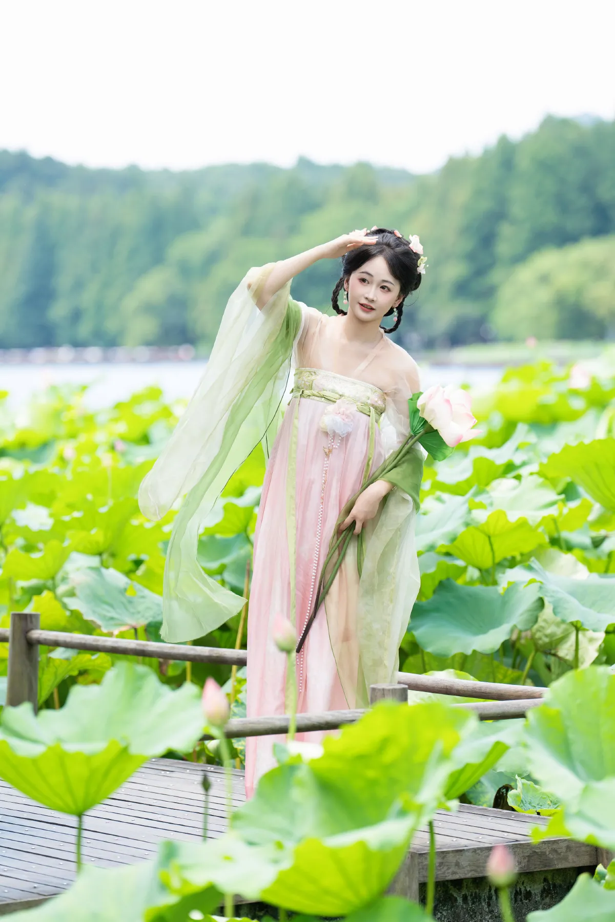 荷花少女1