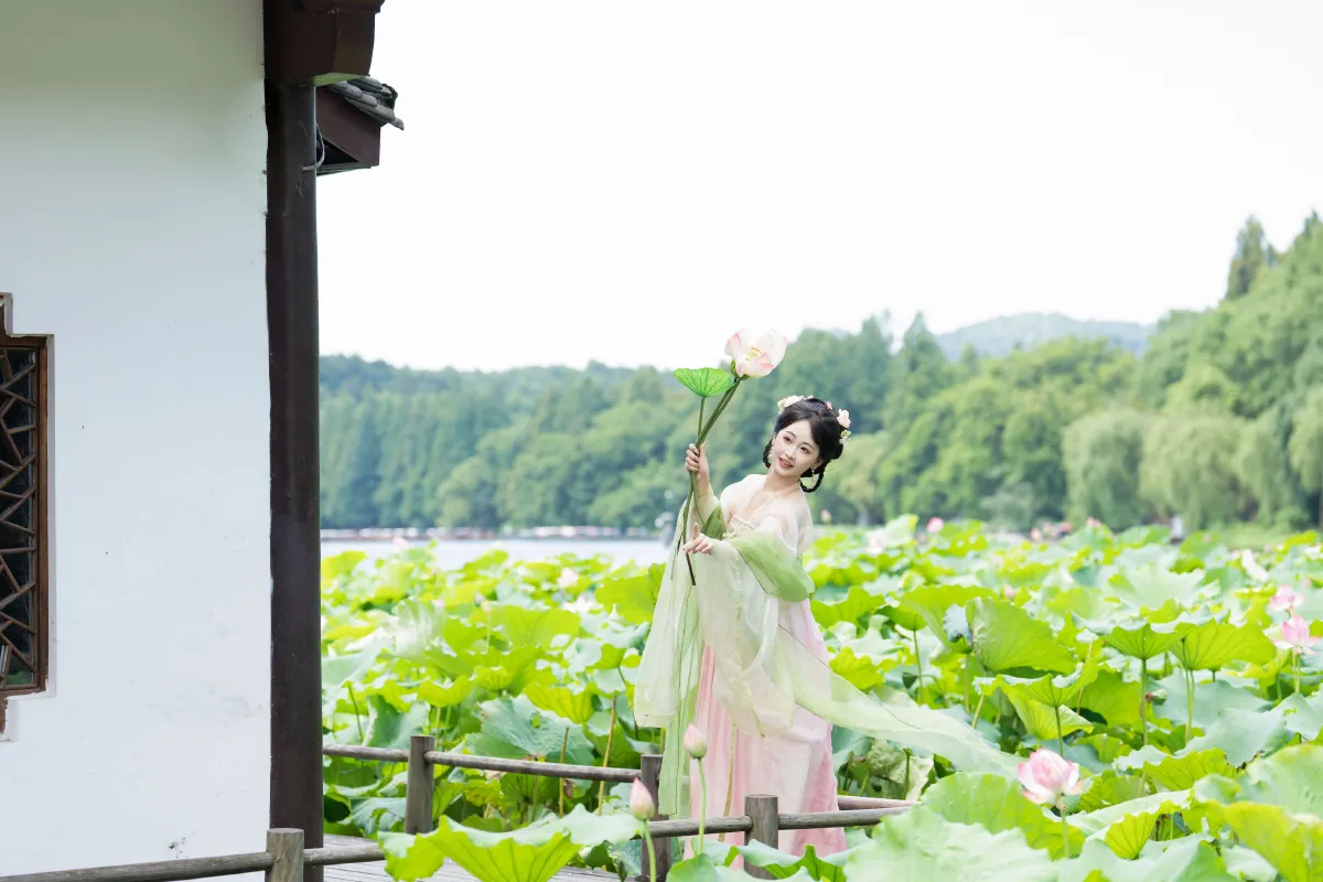 荷花少女3