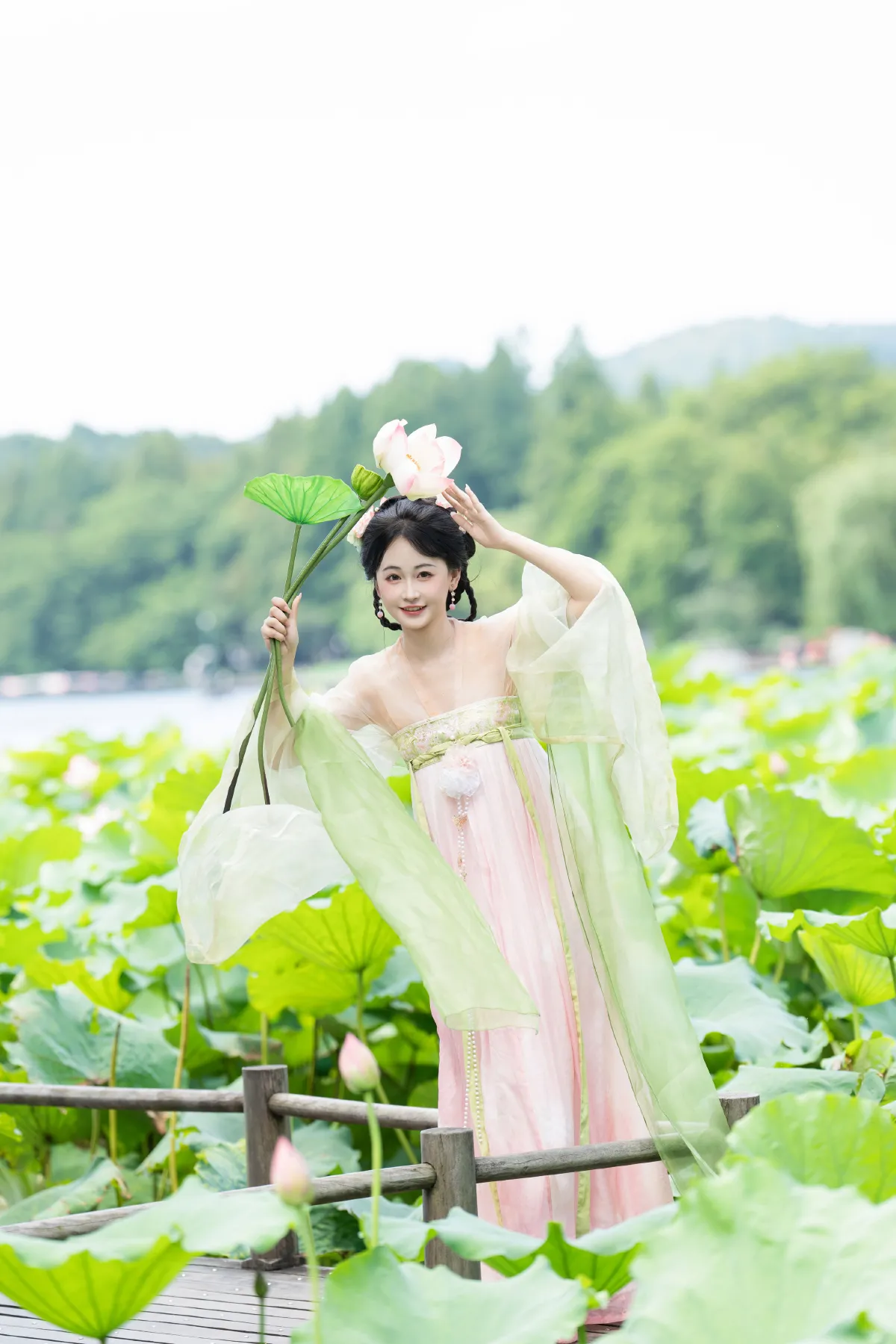 荷花少女