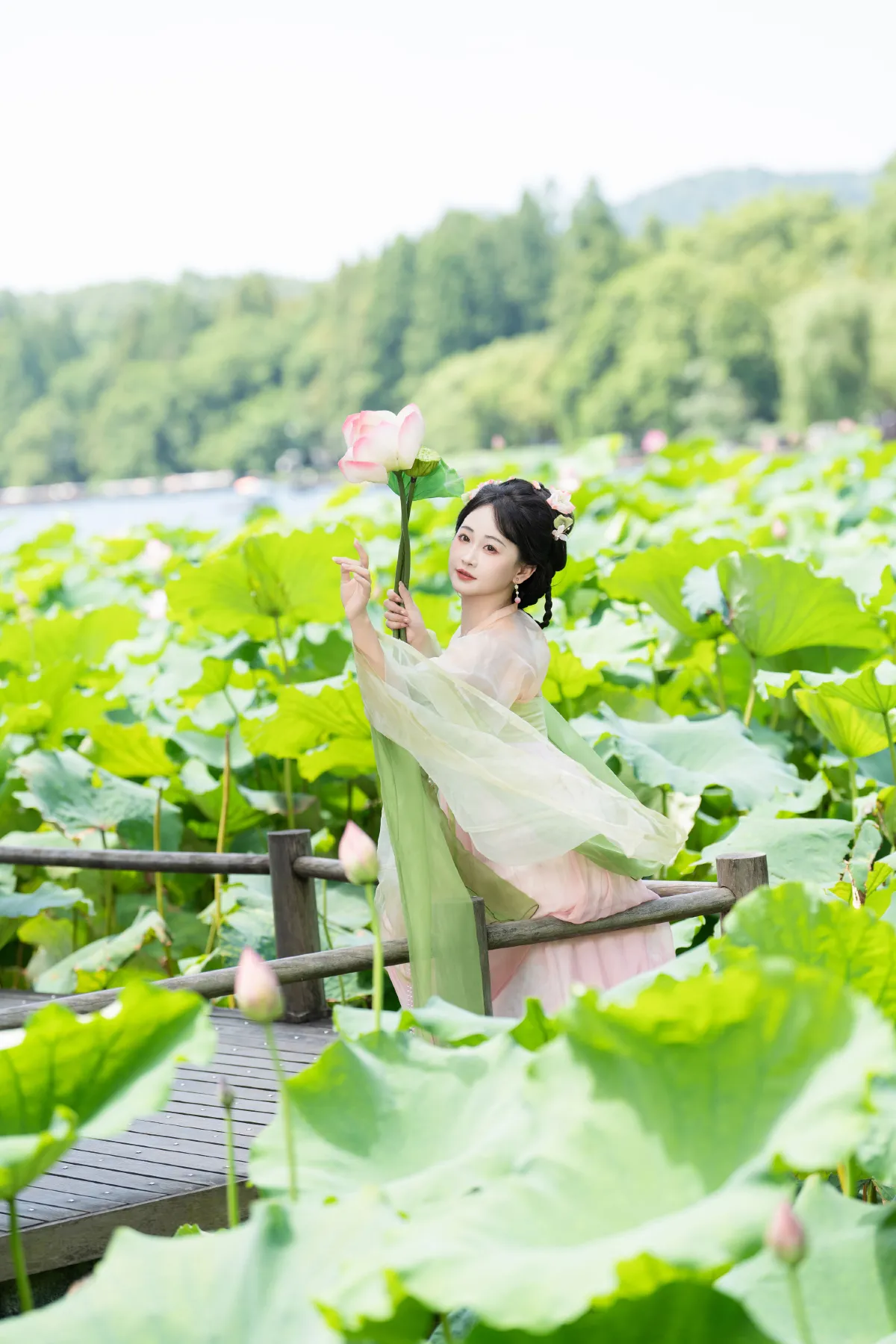 荷花少女