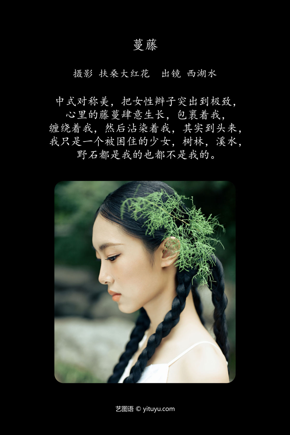 扶桑大红花_西湖水《蔓藤》美图作品图片2