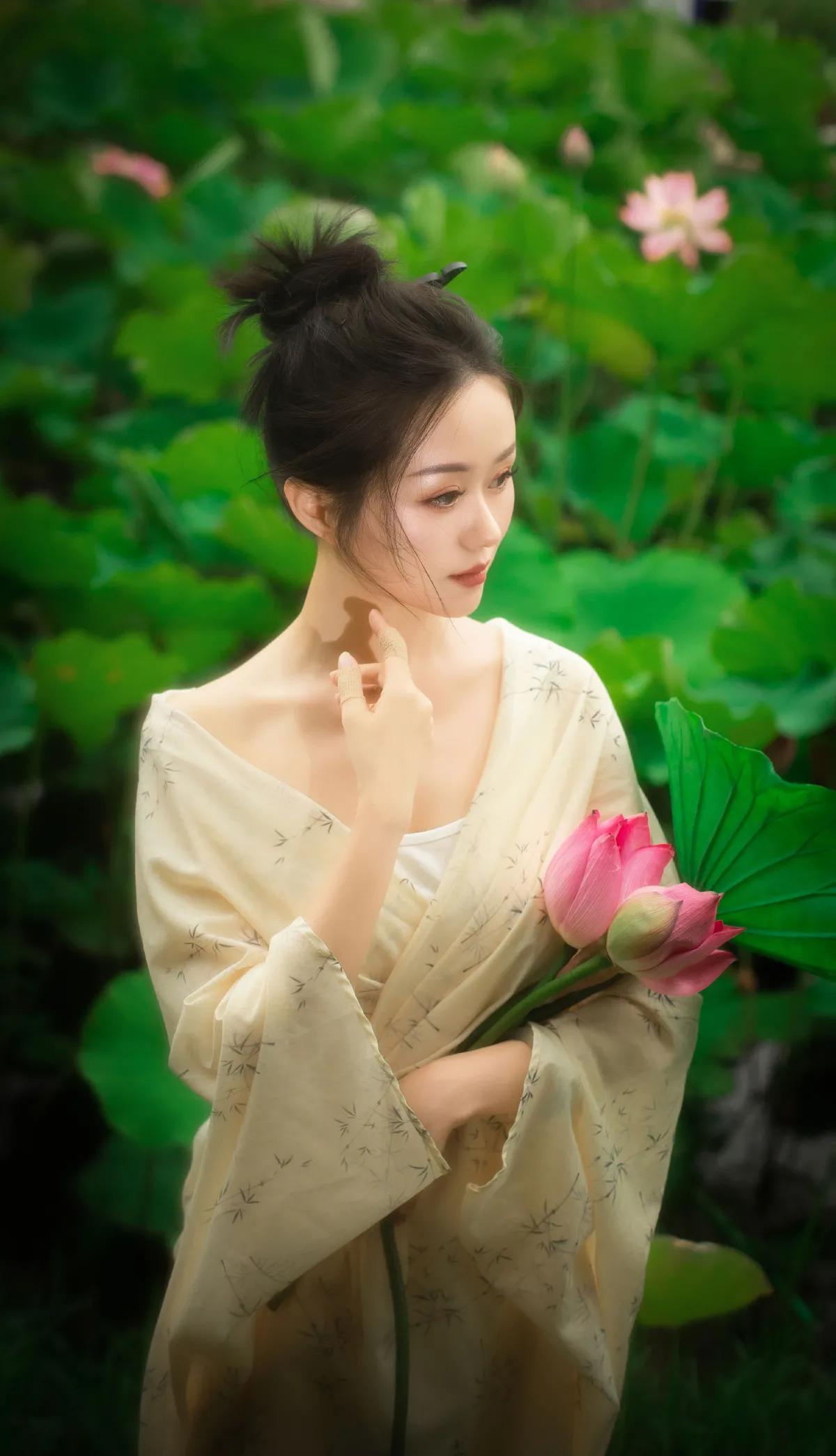 夏至未至，娇荷已开