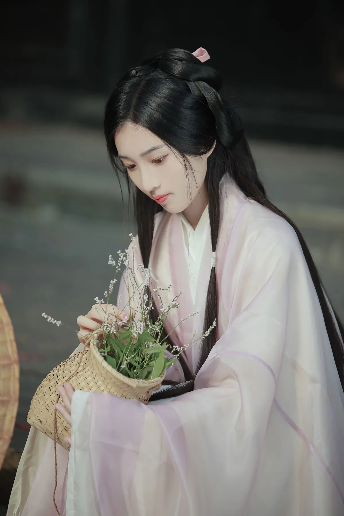 采薇
