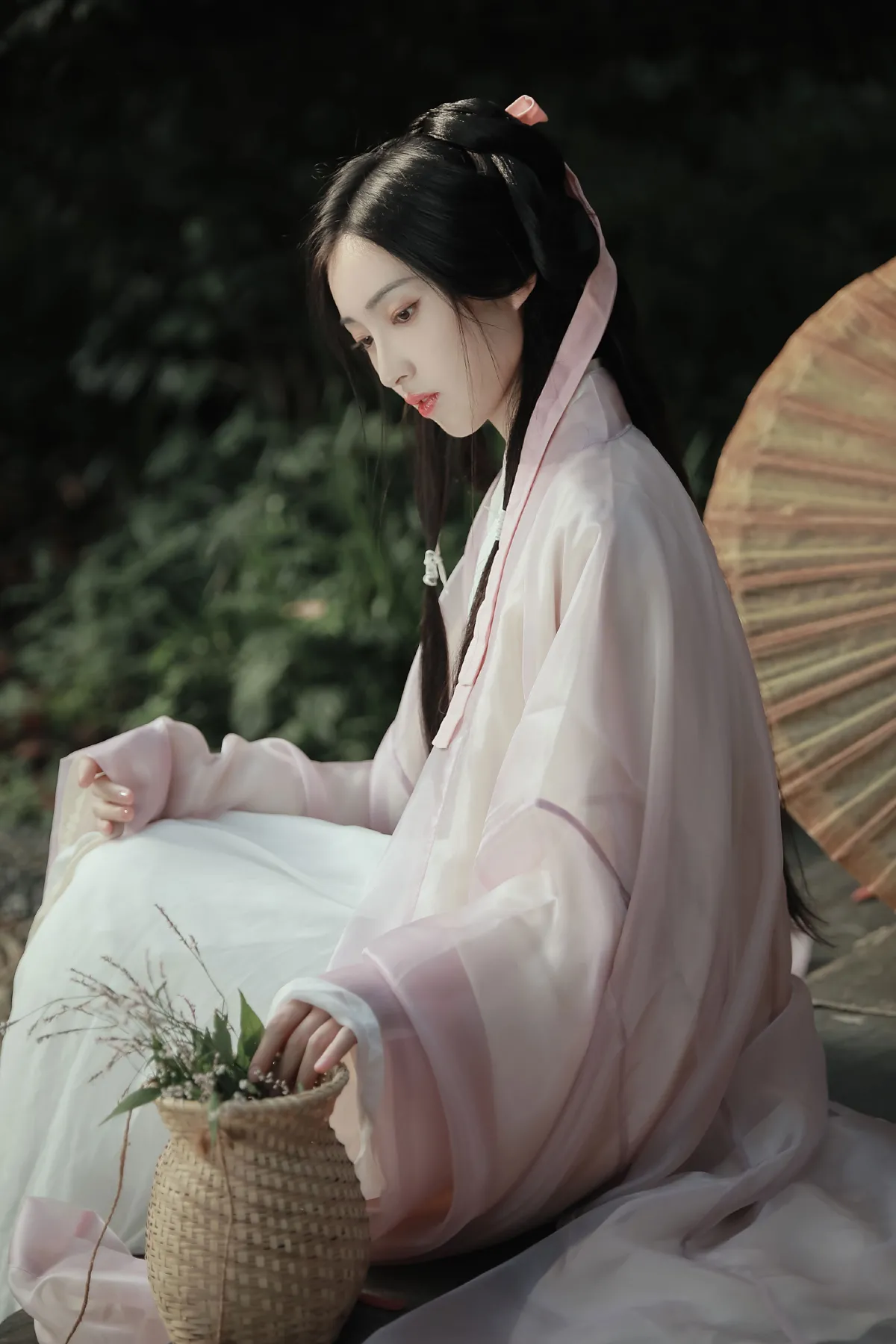 采薇