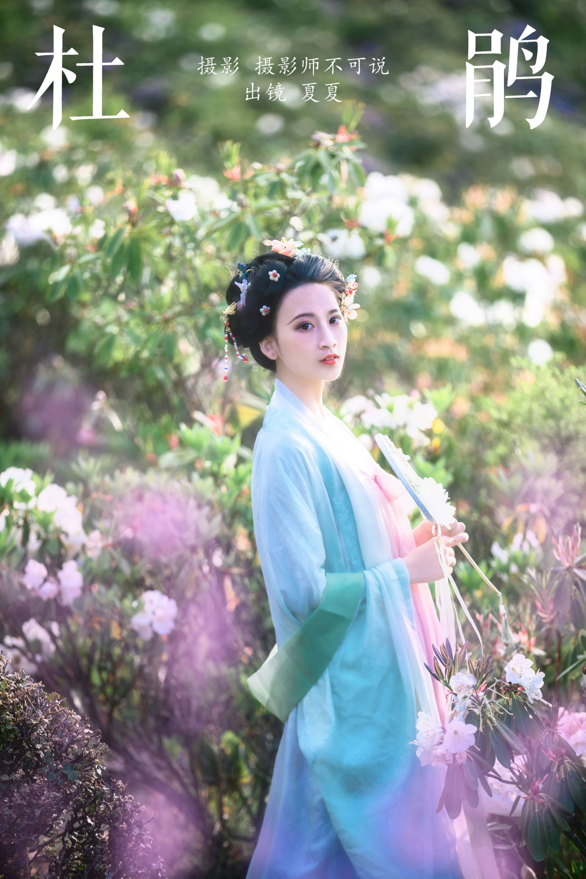 摄影师不可说_半夏夏夏《杜鹃》美图作品图片1