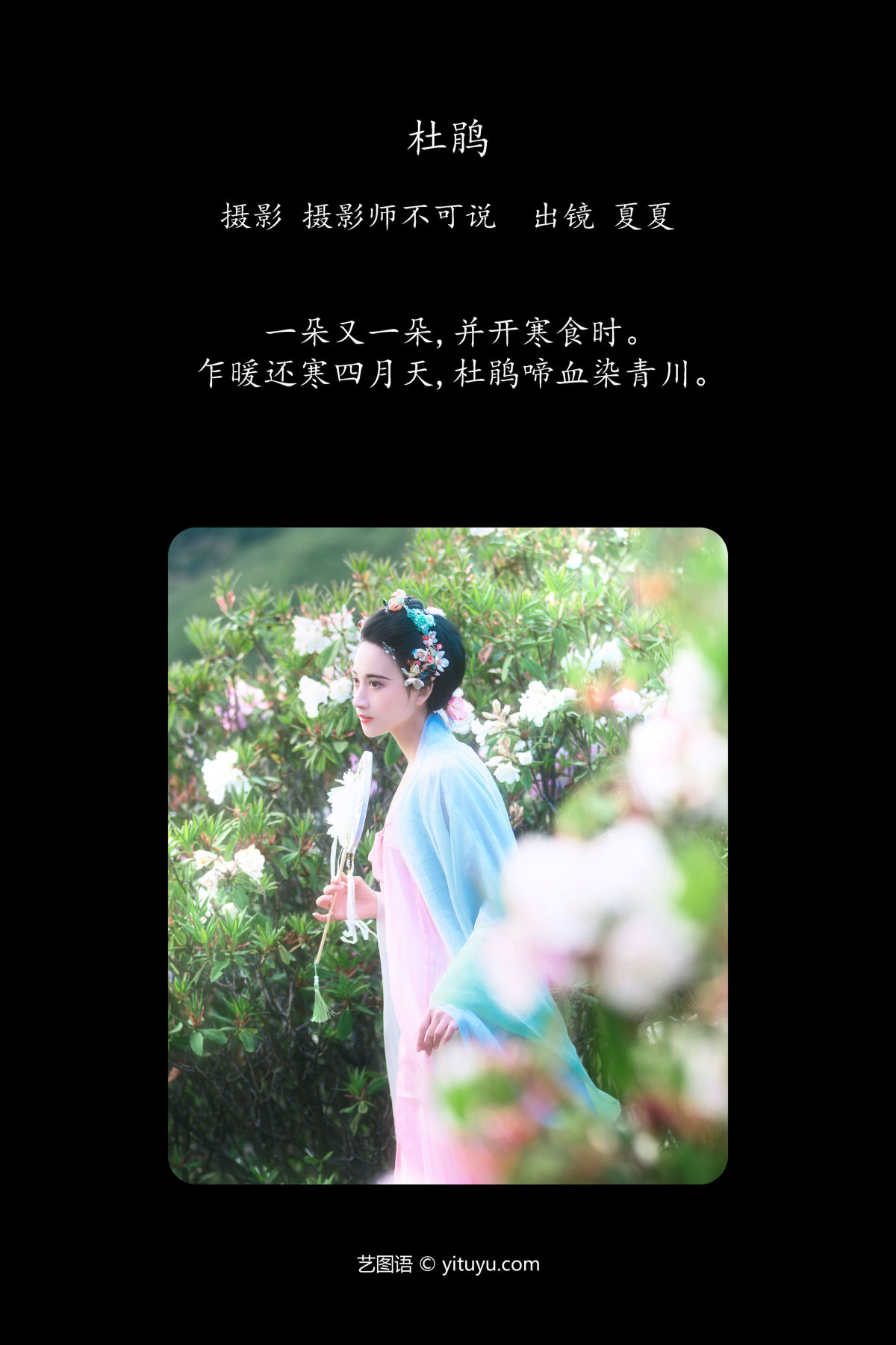 摄影师不可说_半夏夏夏《杜鹃》美图作品图片2