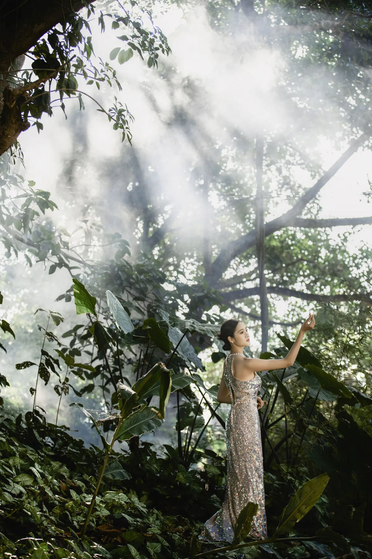 摄影师不可说_然染《热带雨林》美图作品图片4