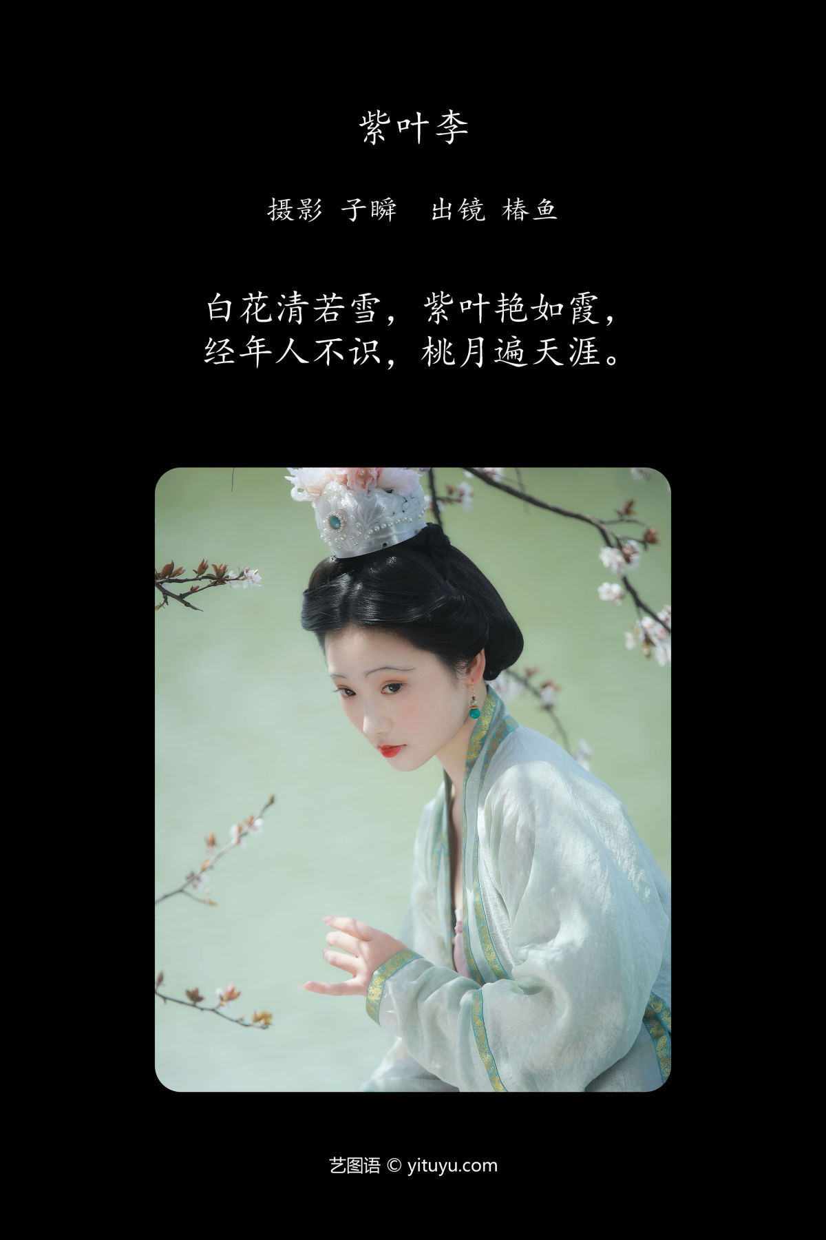 子瞬_椿鱼《紫叶李》美图作品图片2