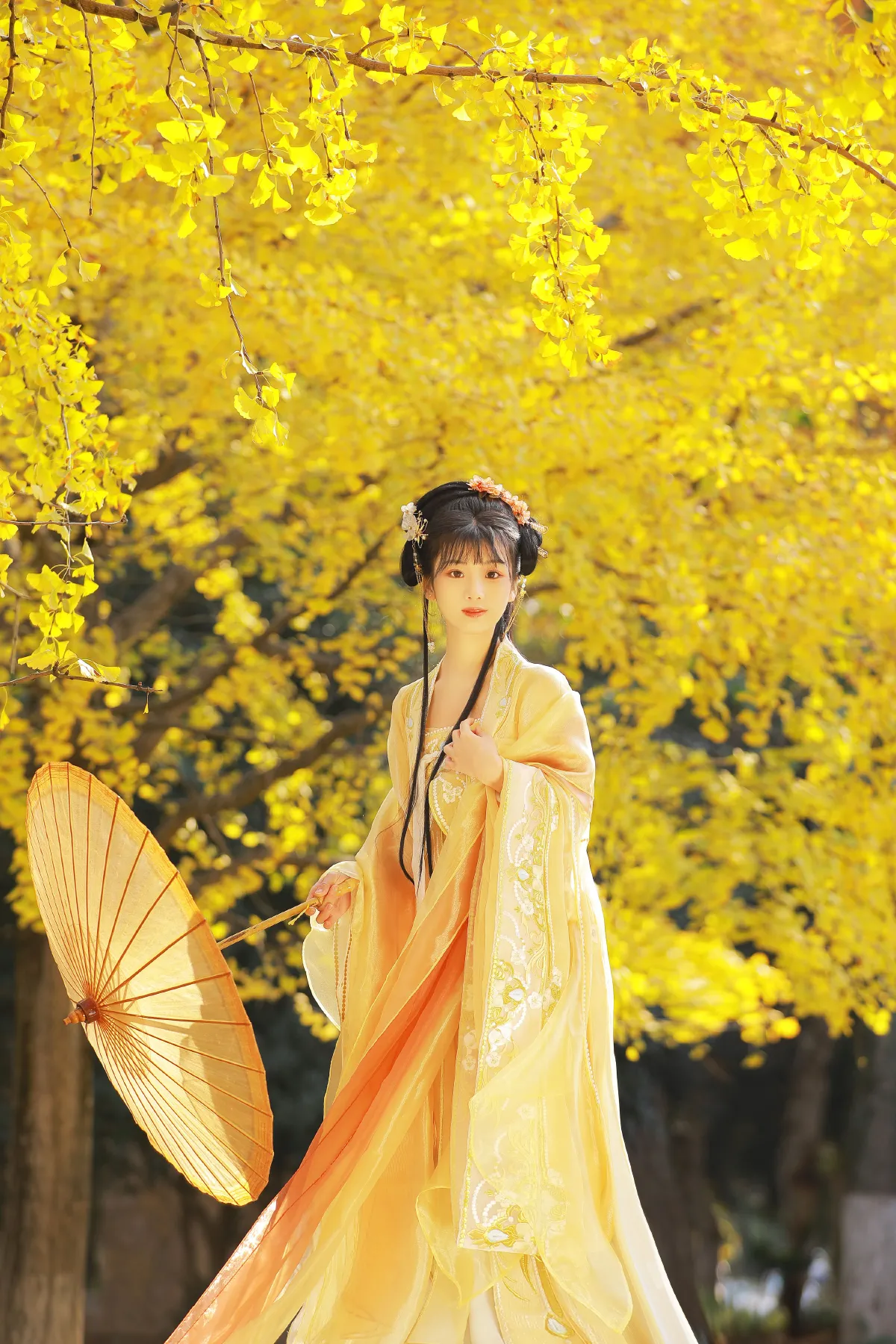 玉京秋3