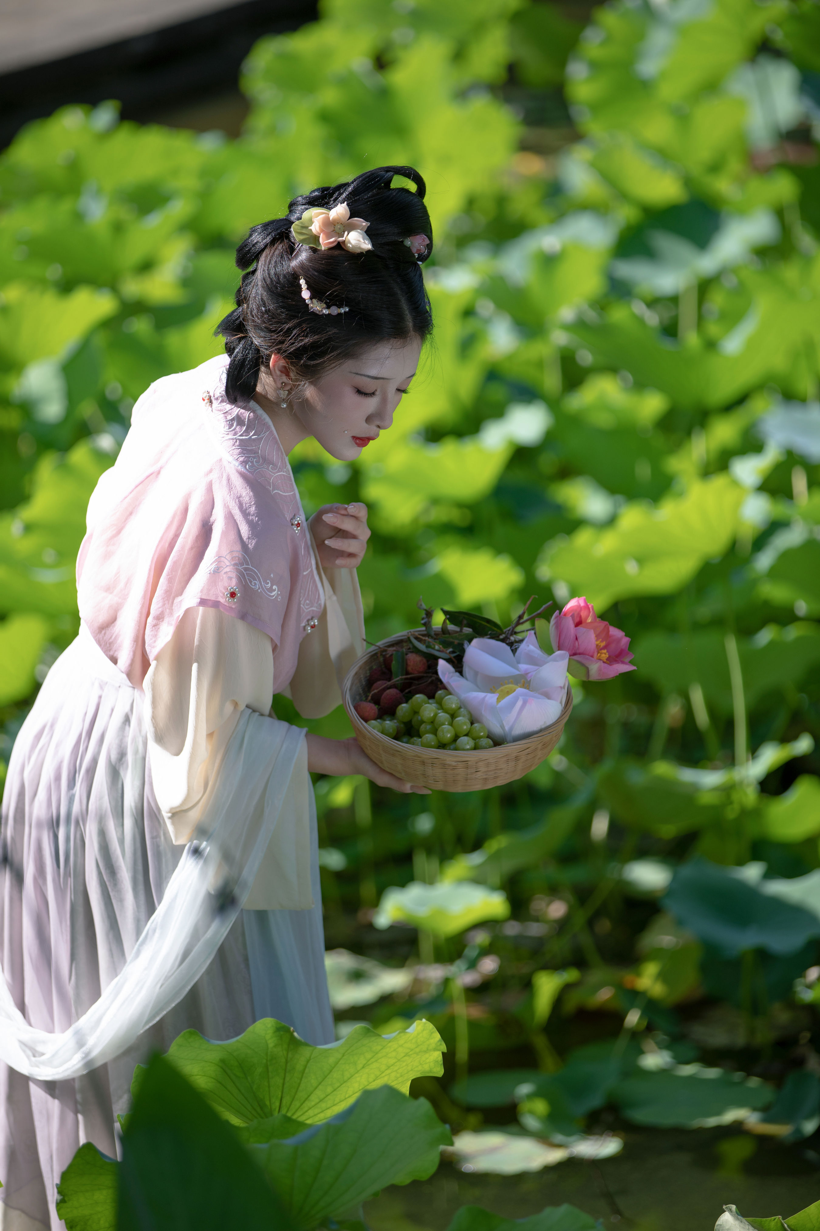 荷风送香