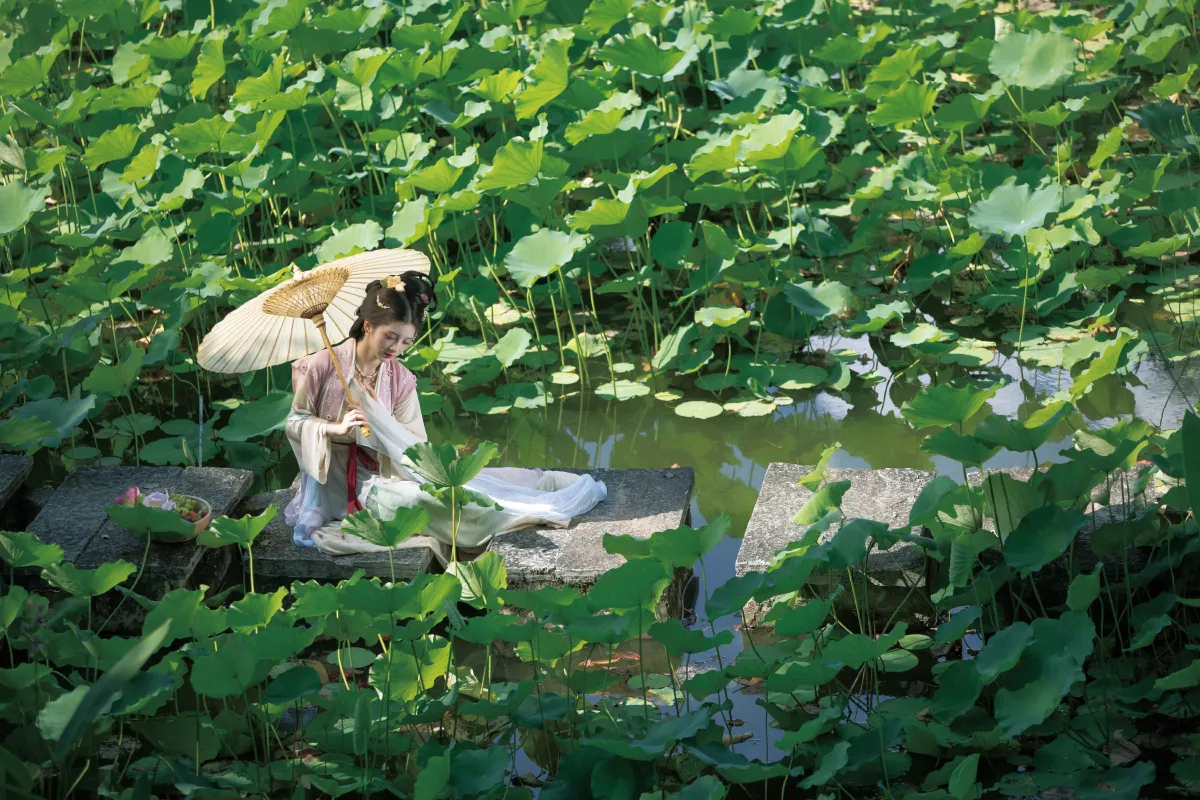 荷风送香3