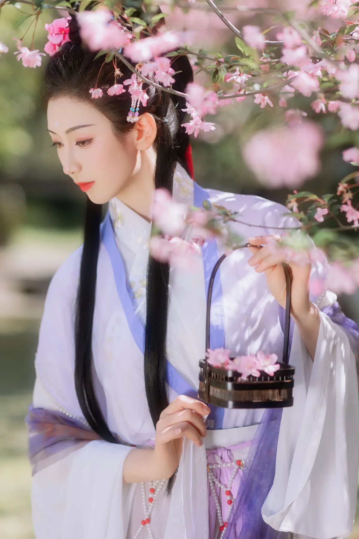 海棠春3