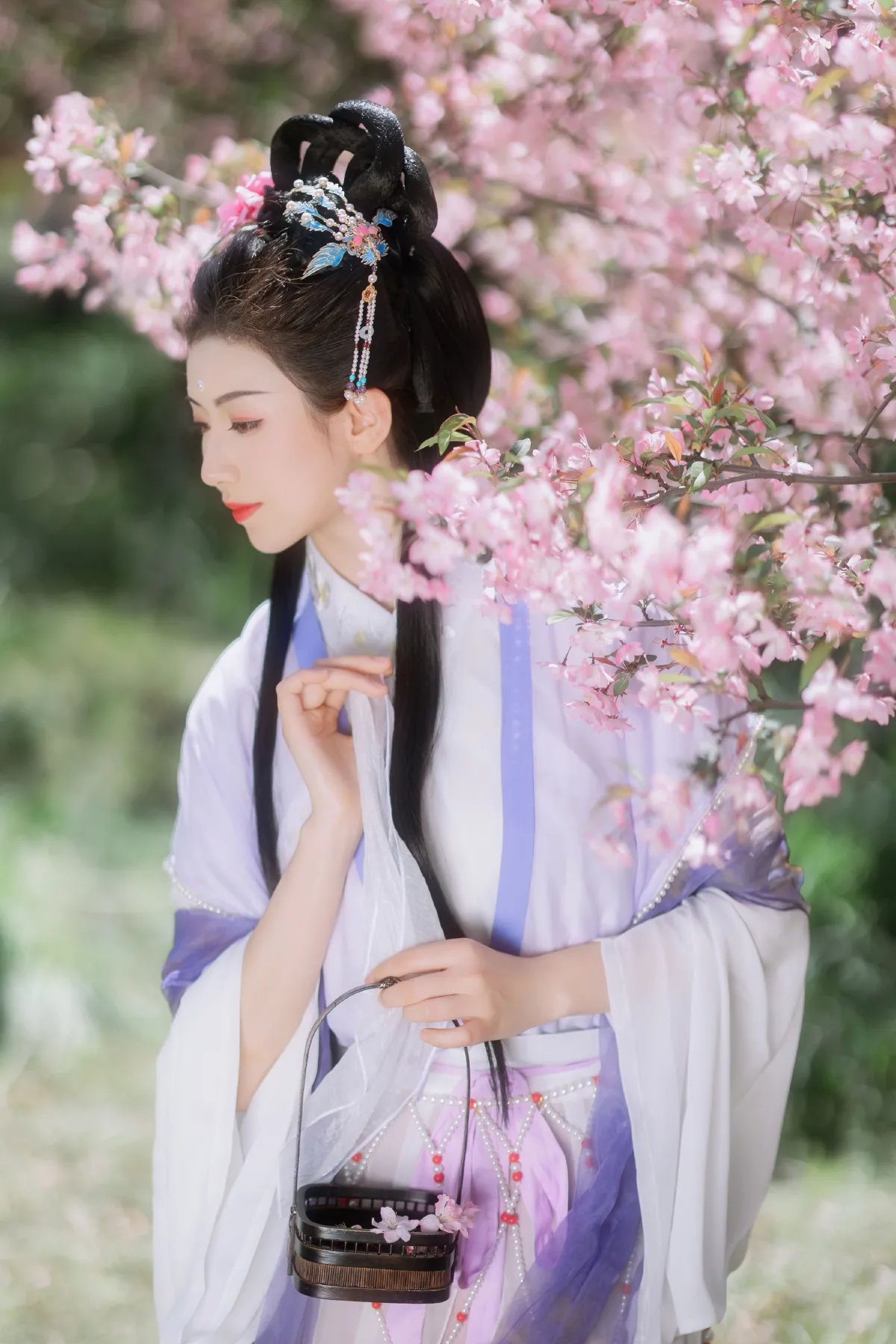 海棠春